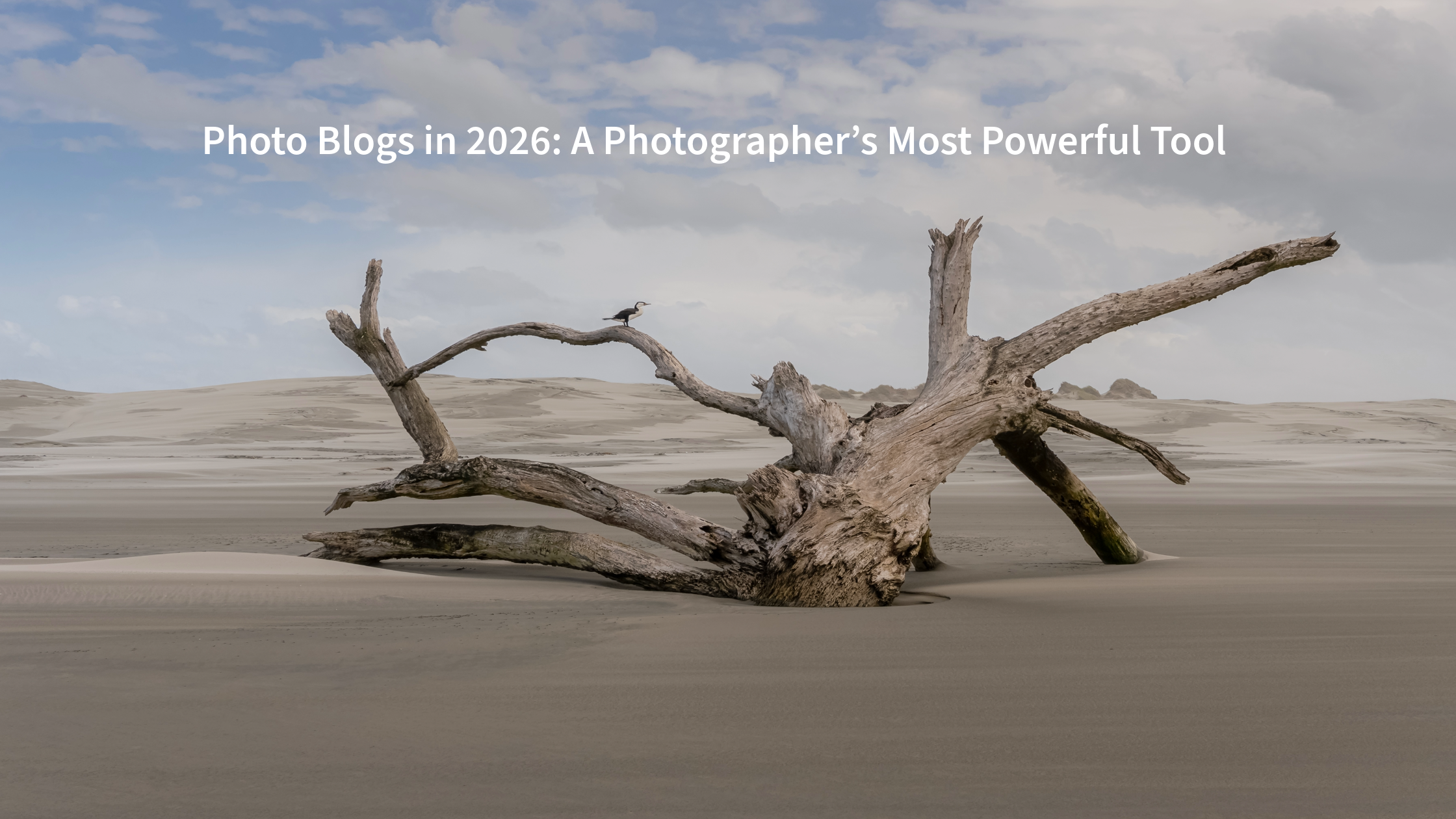 Photo Blogs in 2026: A Photographer’s Most Powerful Tool