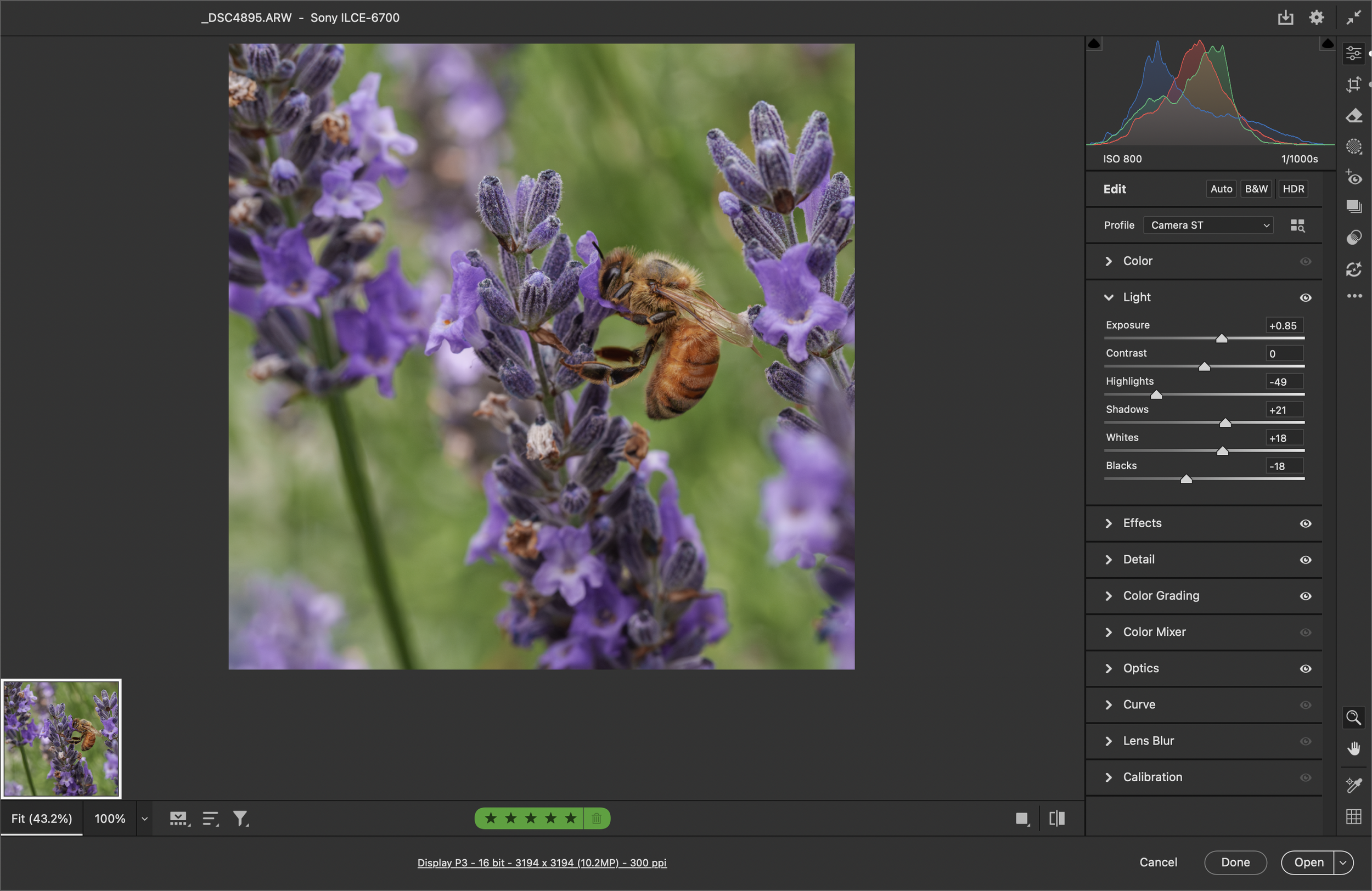 A screen shot of photo processing in Adobe Camera Raw