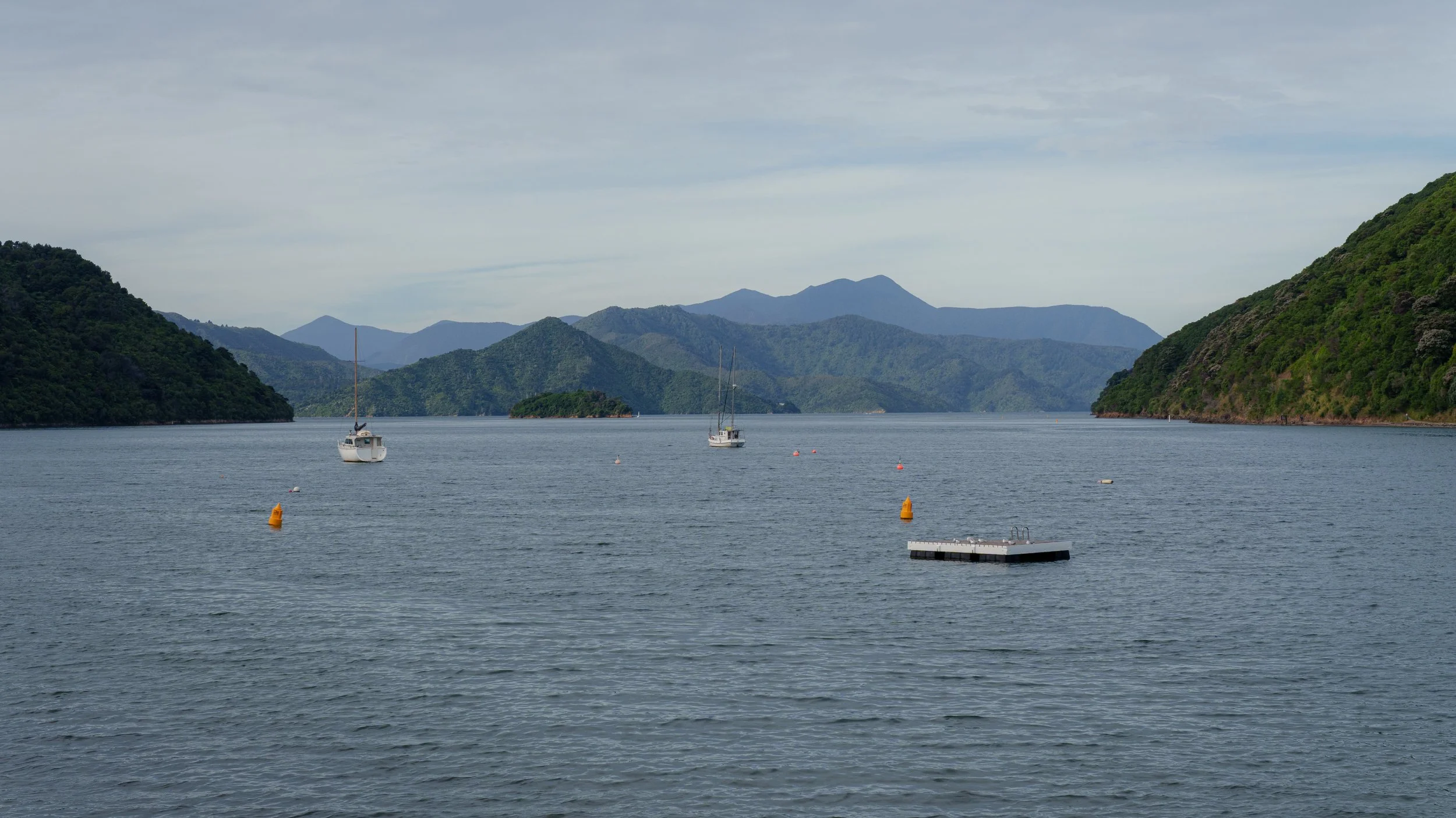 End of Year Gathering at the Picton Foreshore