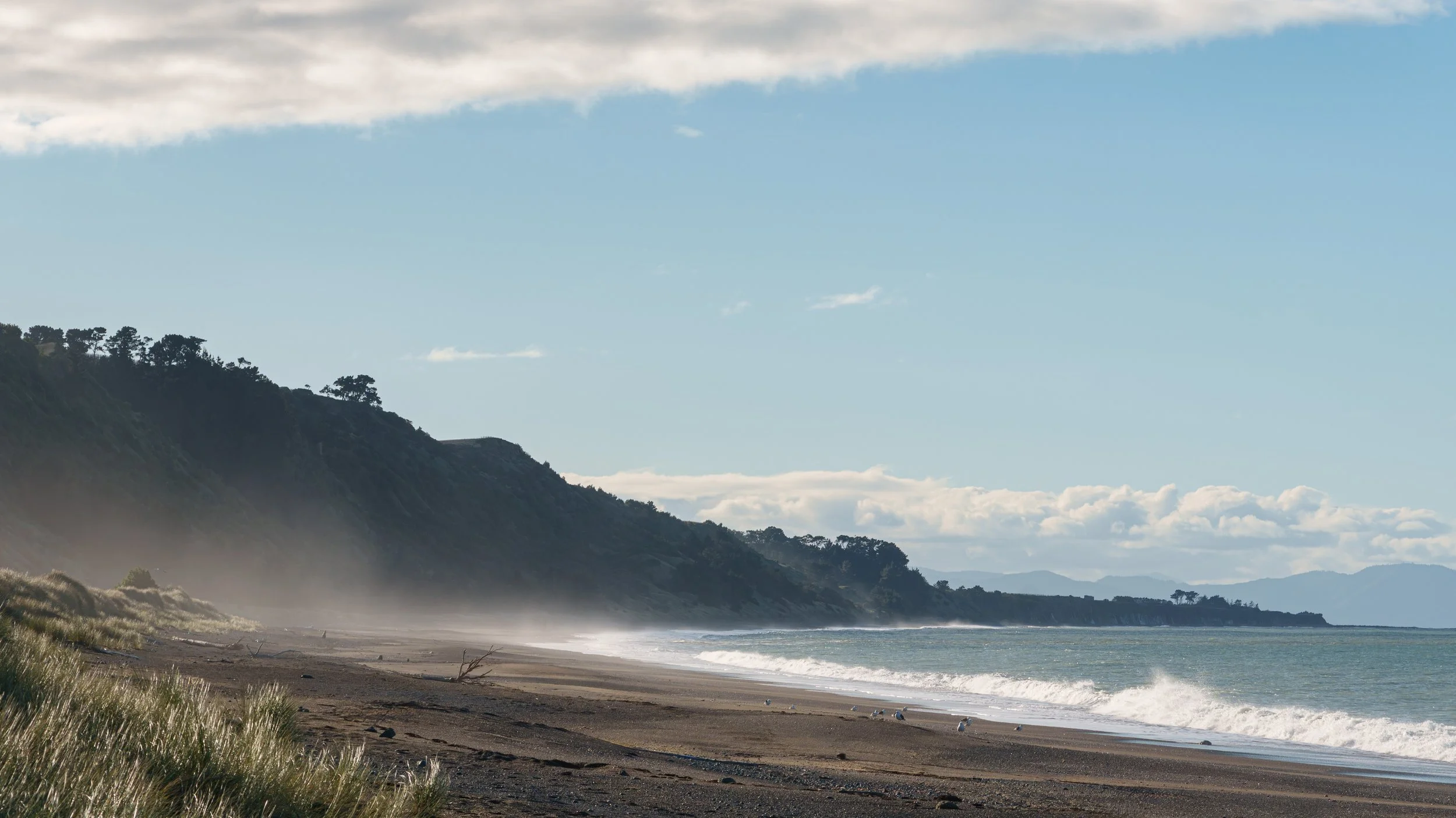 Looking north along the beach at Clifford Bay