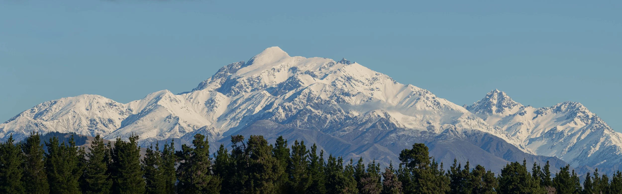 Snow-dusted jagged peak of the Inland Kaikōura Range towering over pine forest in Marlborough New Zealand