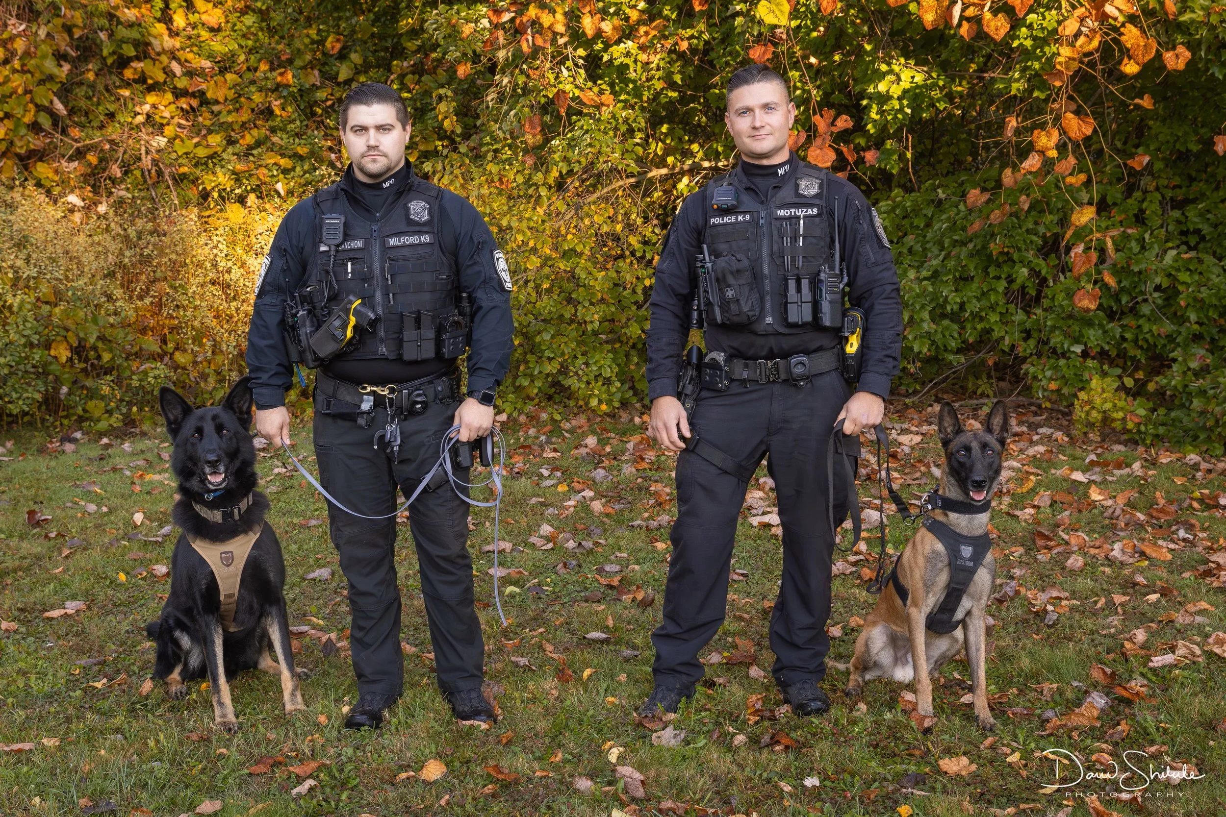 milford_k9_teams.jpeg