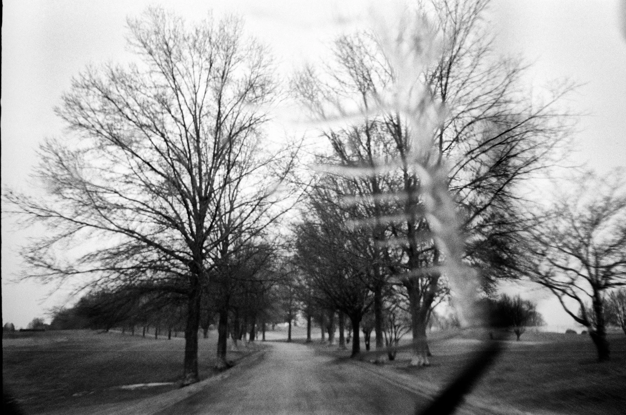 AmericanRoadTrip_Scaled 1.jpg