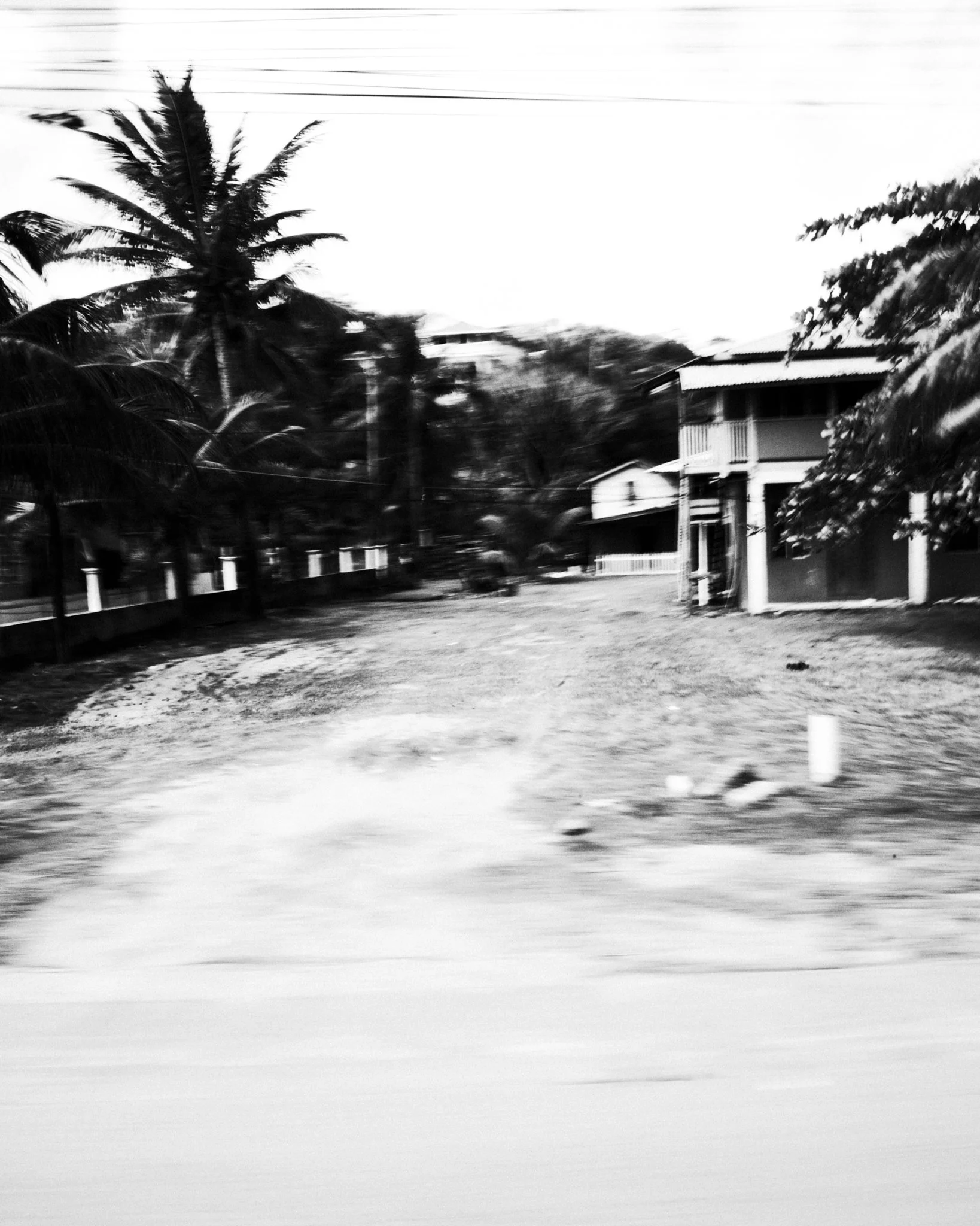 Roatan_JTM_Scaled 1.jpg