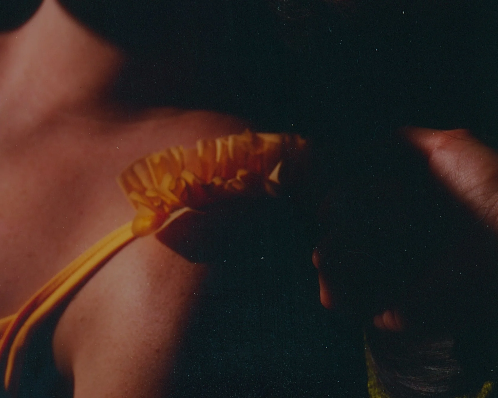 Series-Gina_FujiProvia-Rescan3.jpg