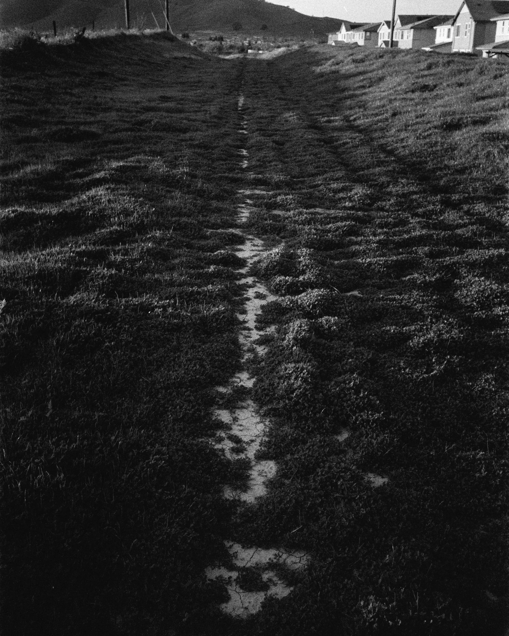 Valley_JTM_Scaled 2.jpg