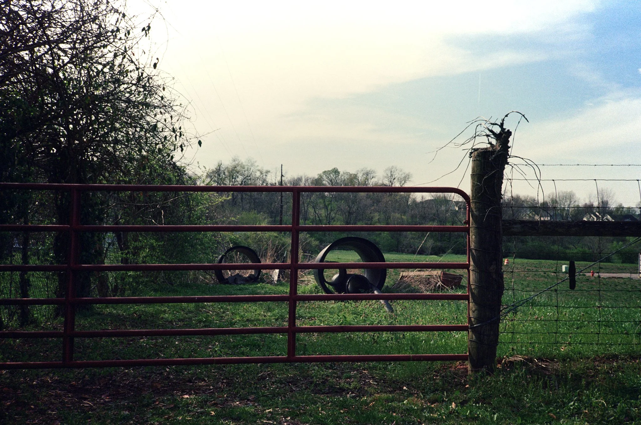 AmericanRoadTrip_Scaled 5.jpg