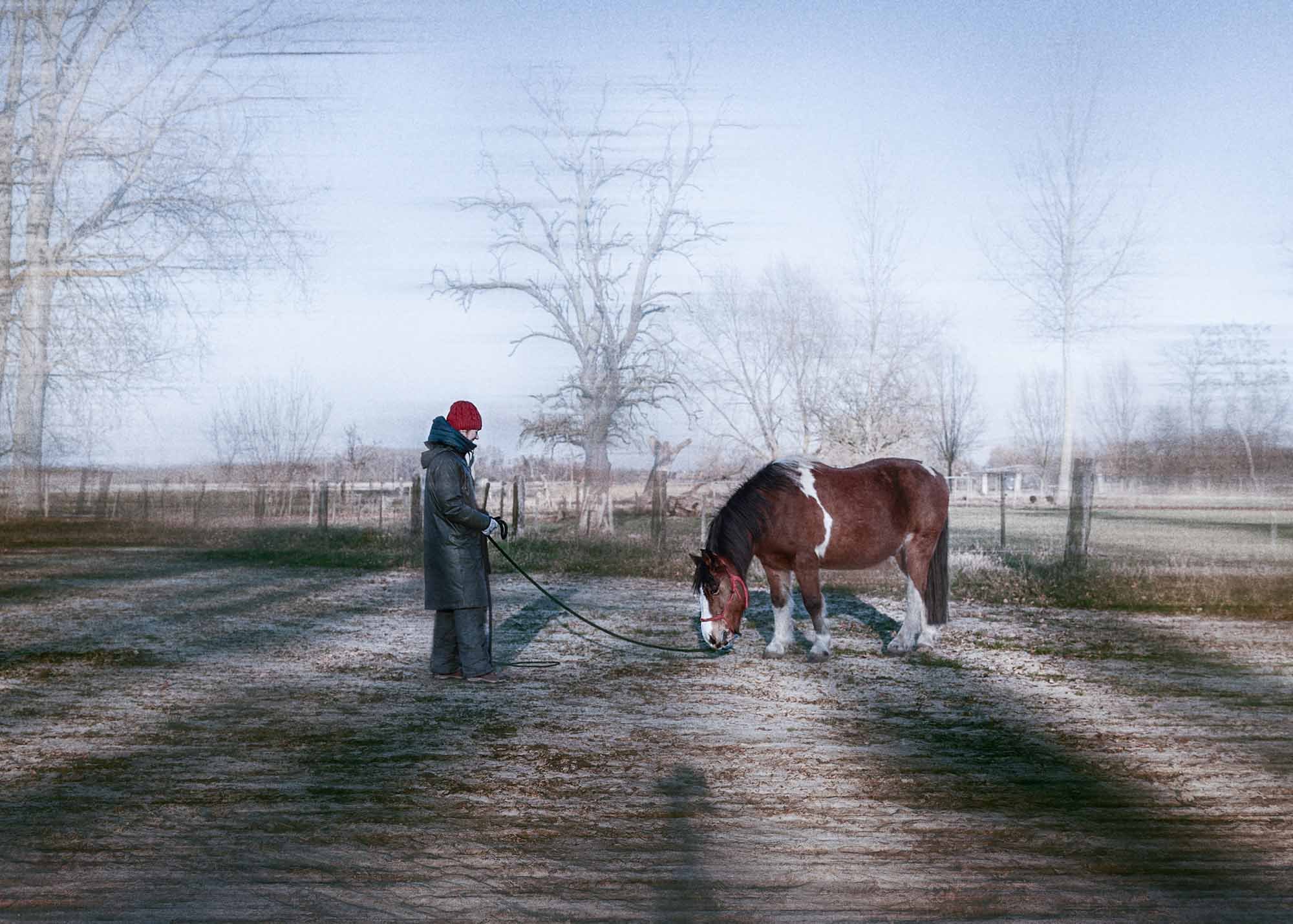 Training with horses always teaches you the lessons you need to learn.
