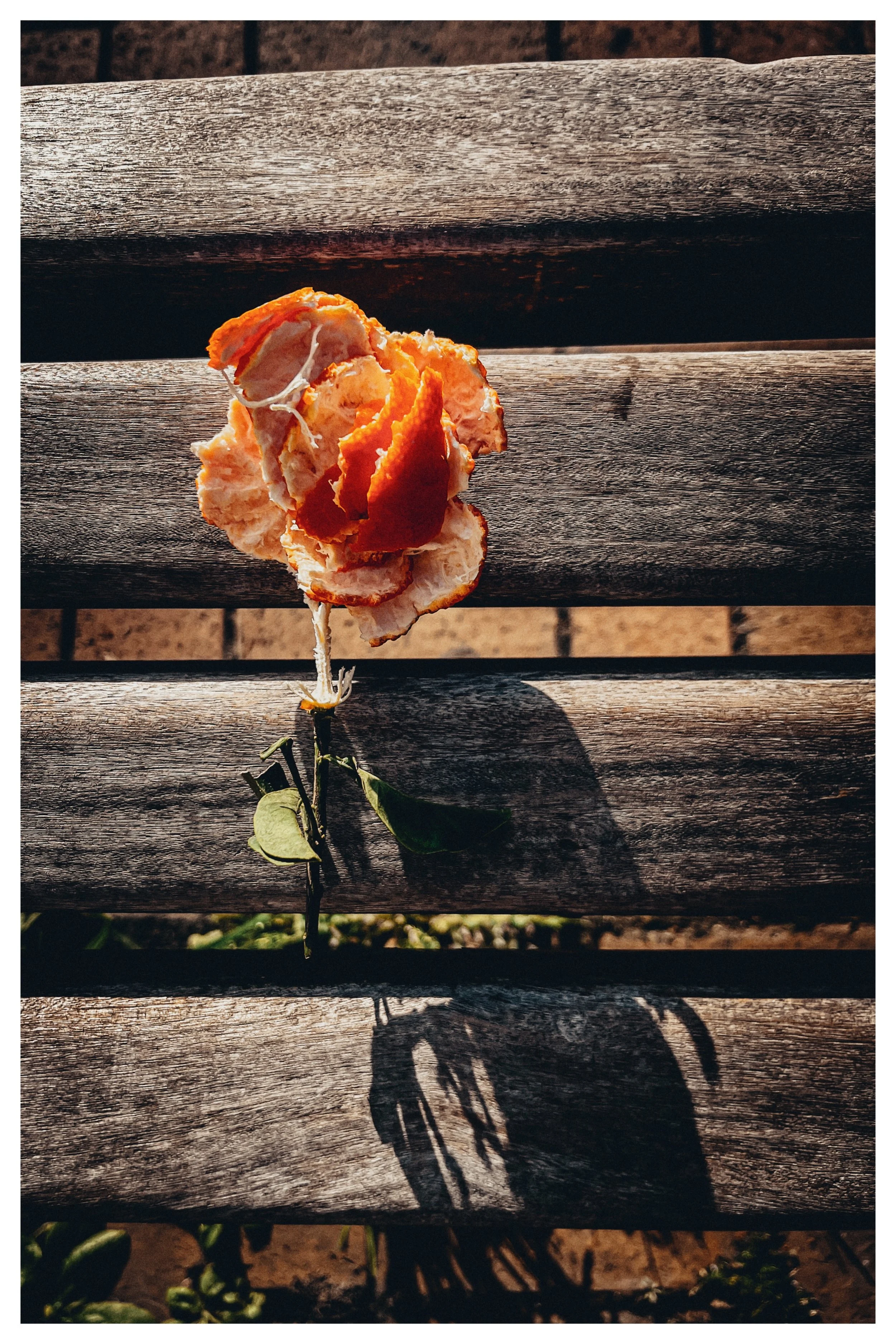 Flower of peeled skin