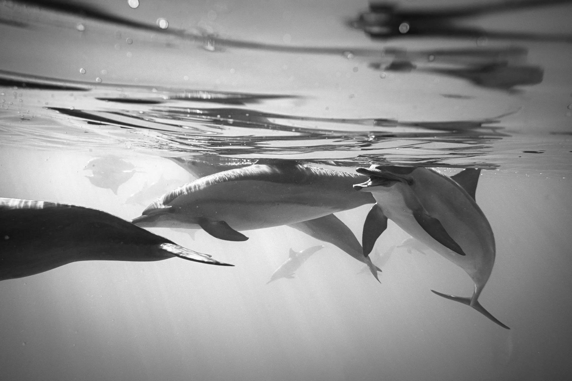 JulieLandrieu_Egypte_MarsaAlam_03062018_0594-bewerkt.jpg
