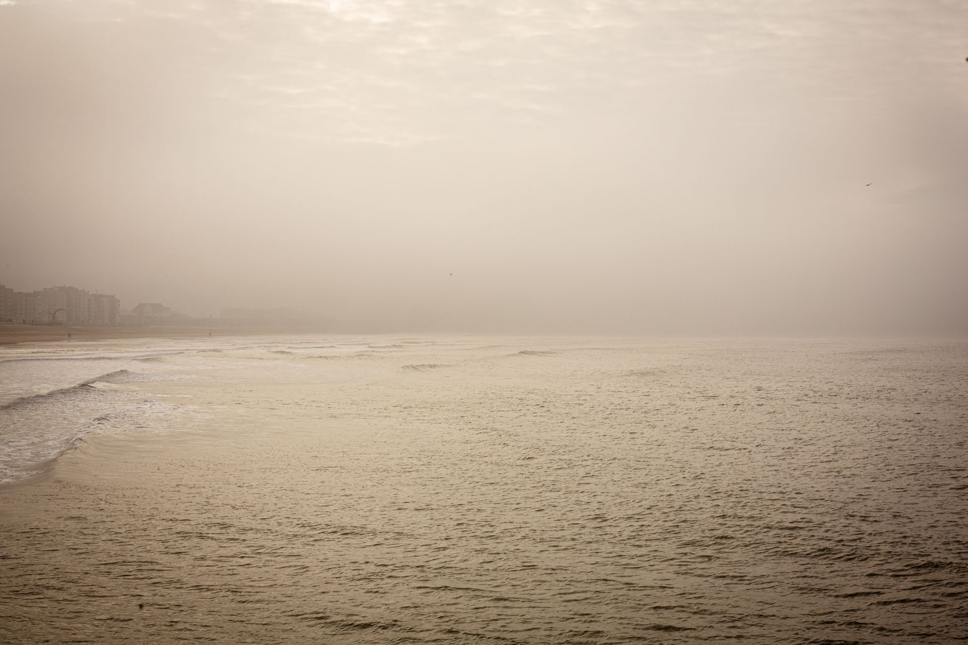 JulieLandrieu_Oostende_zee_mist_12022017-102.jpg