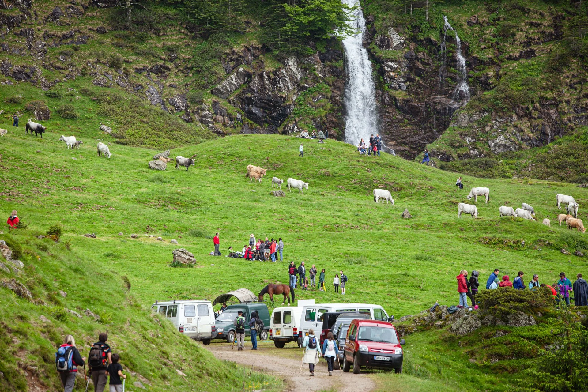 JulieLandrieu_TranshumanceFrankrijk_060511_0425.jpg