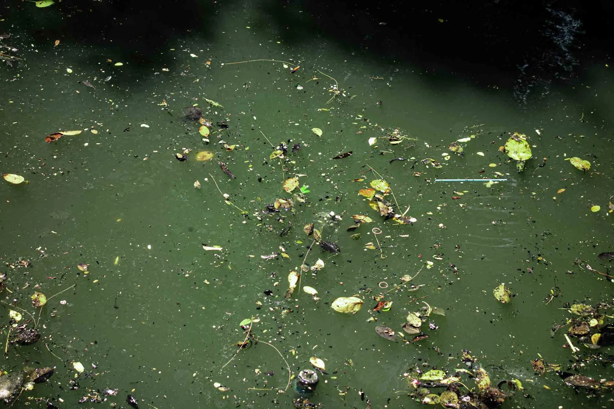 Not quite sure what happened yet, I walked back to the hotel.