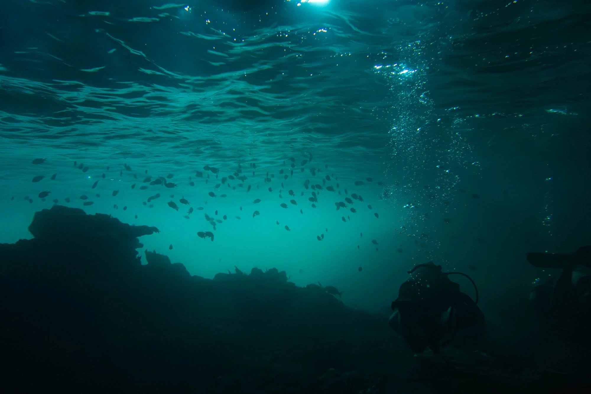 For the first dive we enter a cavern, not bad.