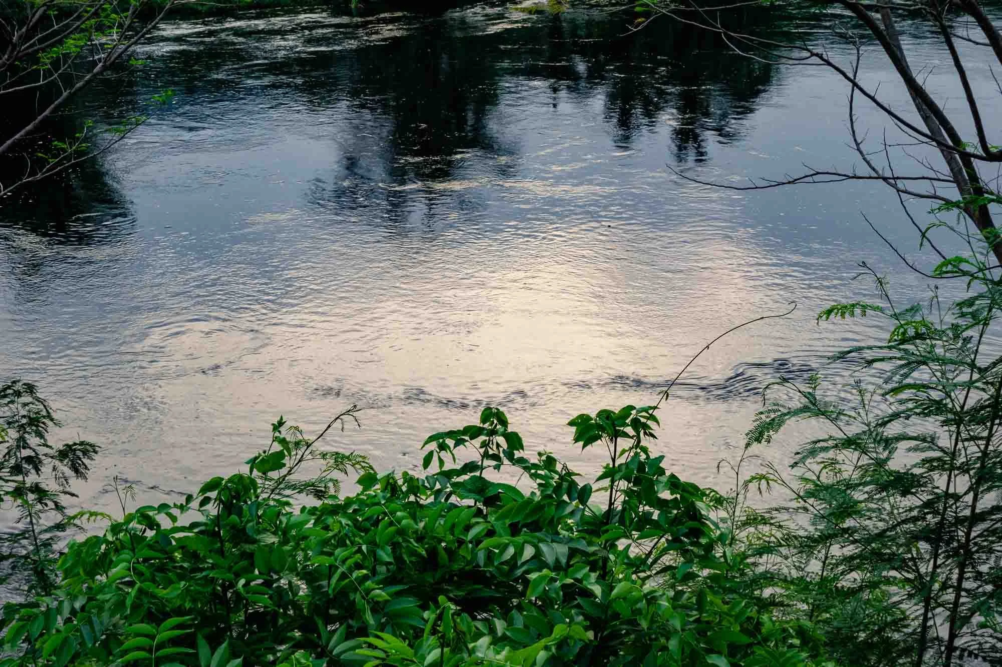 Always drawn to water.