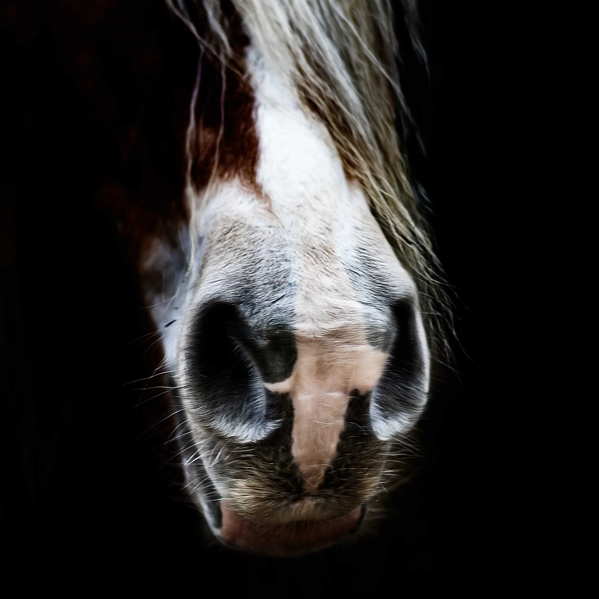 web_2000_Julielandrieu_Uban_Lievegem_-77-edit.jpg