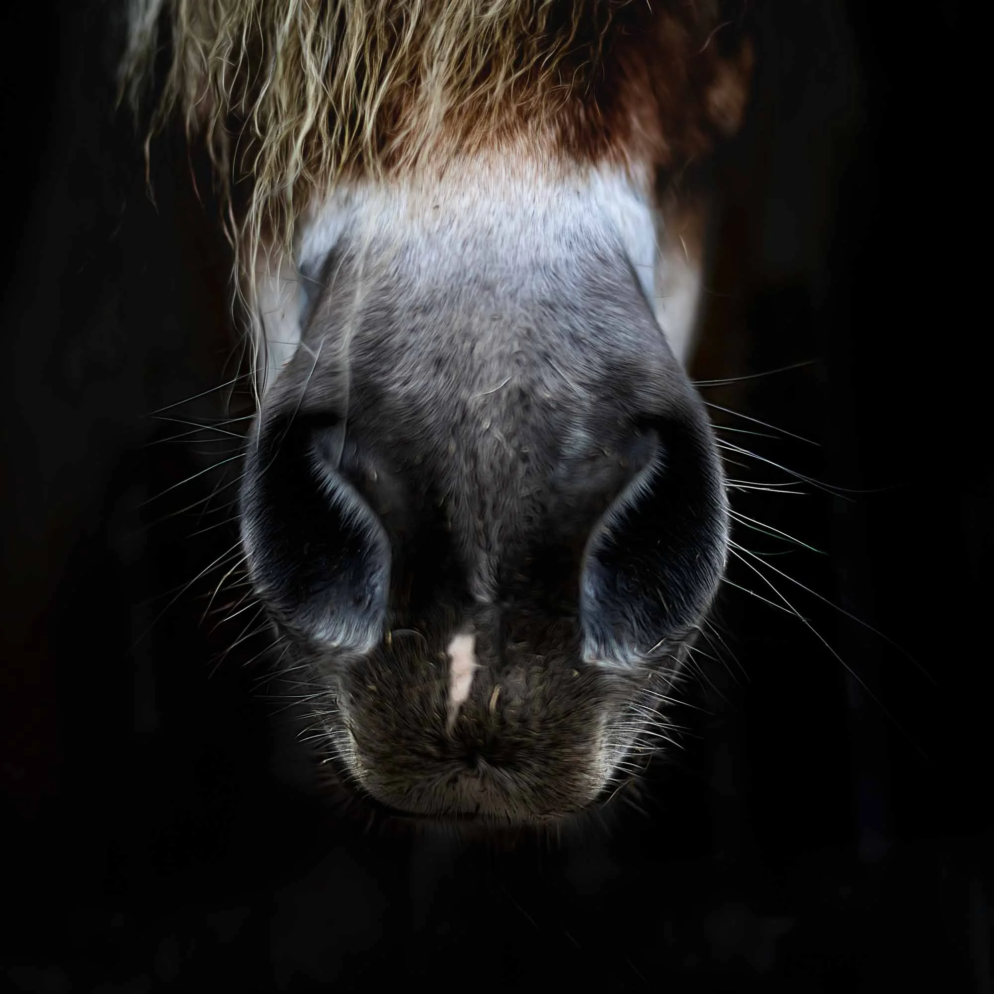 web_2000_Julielandrieu_Uban_Lievegem_-68-edit.jpg