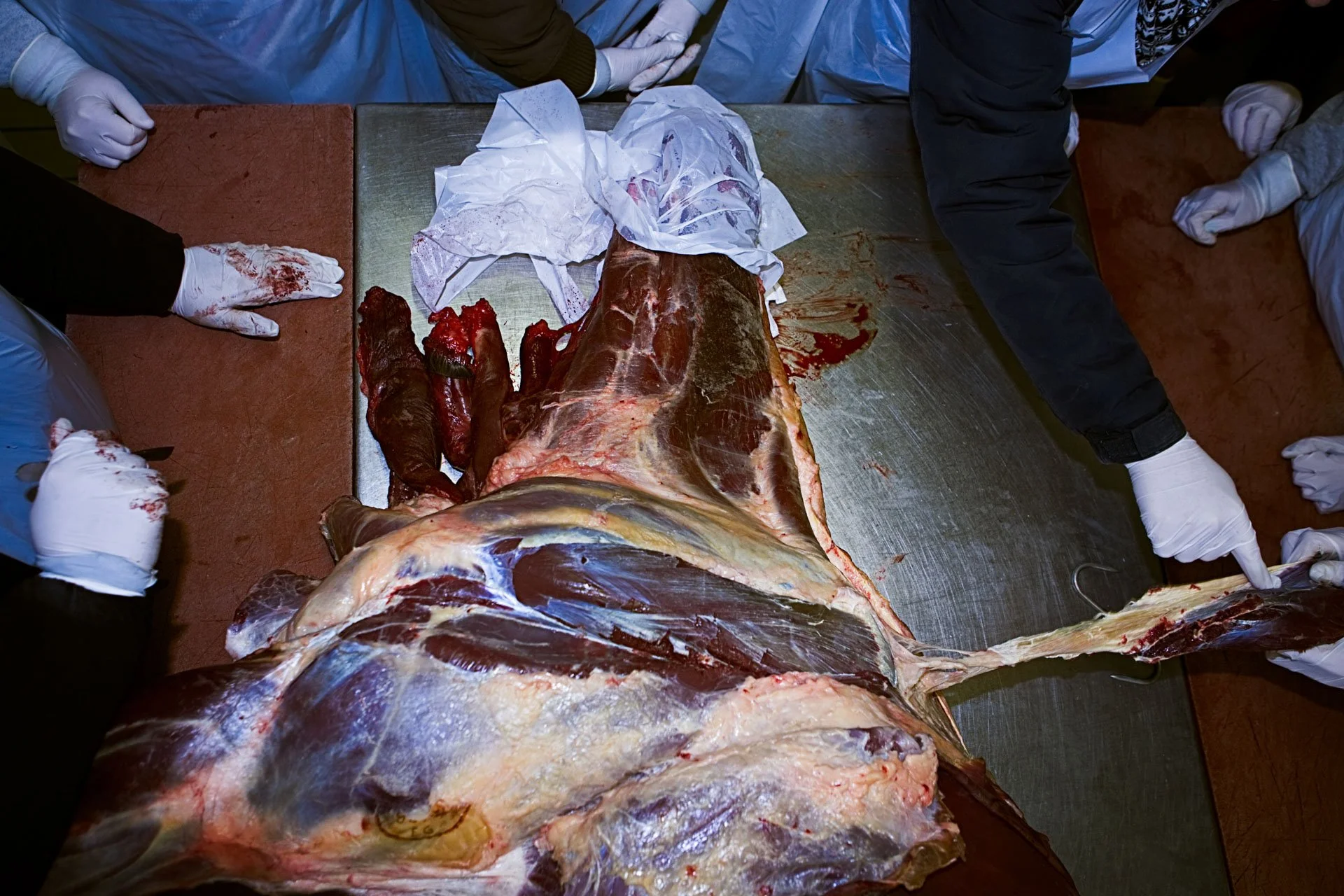 JulieLandrieu_Nederland_CAP_CSIHorse_110213_0125-Exposure.jpg