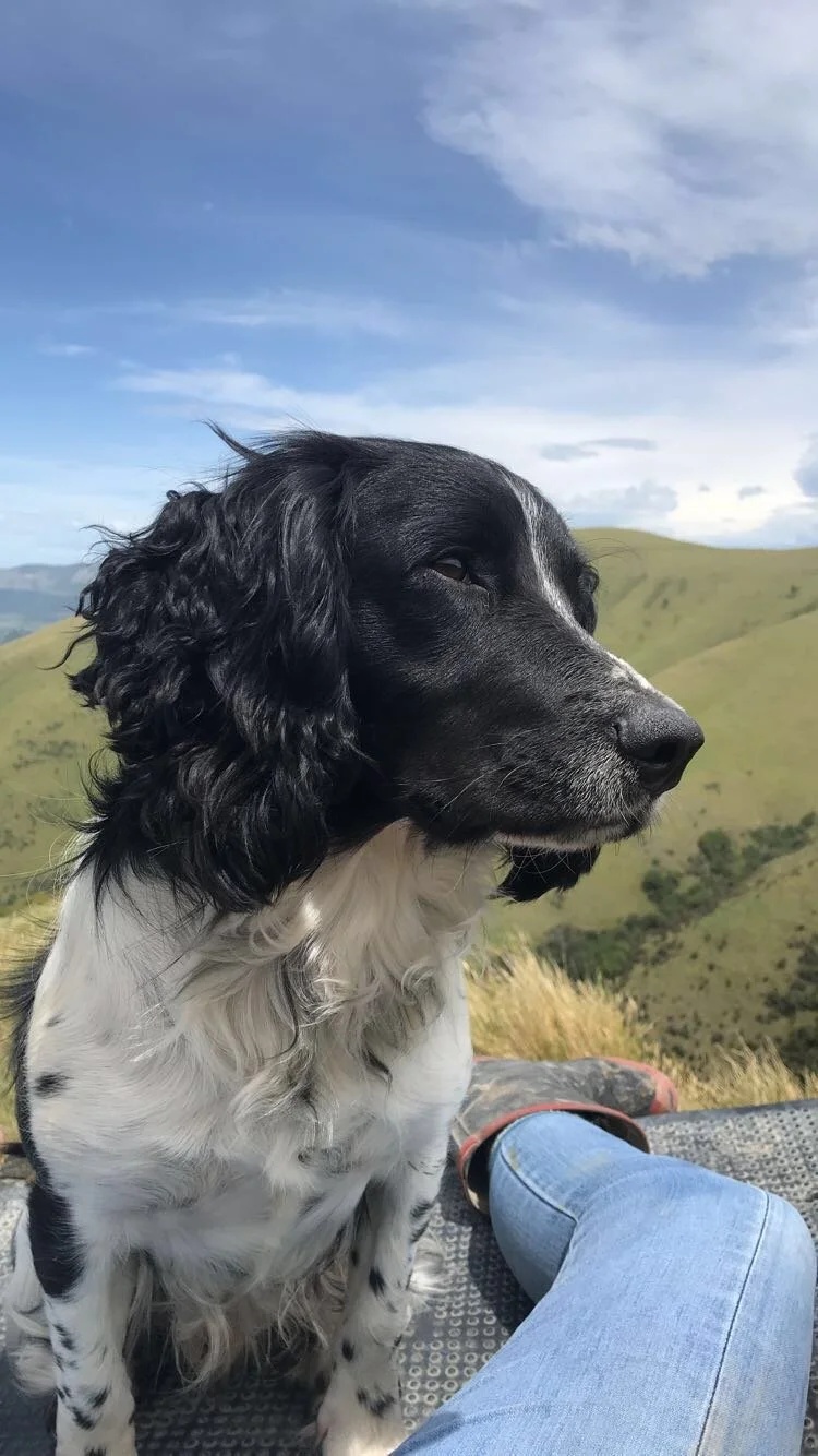 2025 Gold Membership