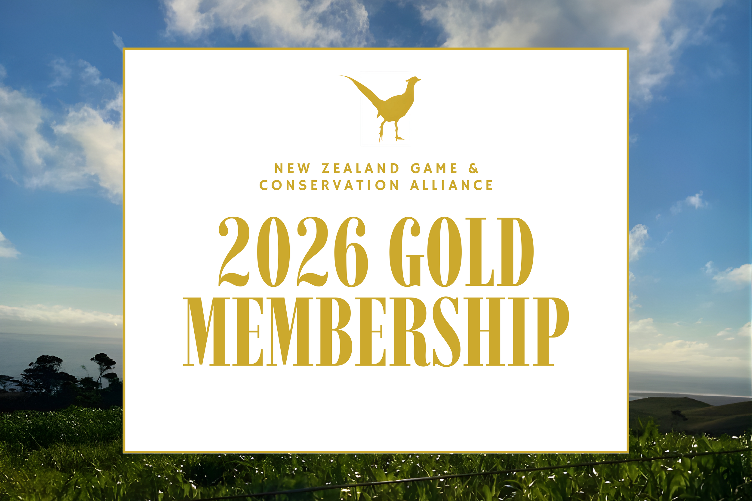 2026 Gold Membership