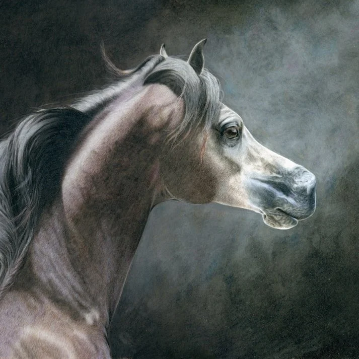Emerging Australian Artists DARKNESS DOT THEUMA ERIN VERITY MICHELLE THOMPSON