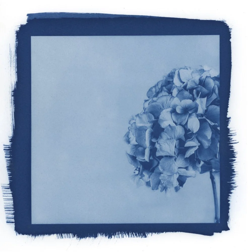 cyanotype.jpg