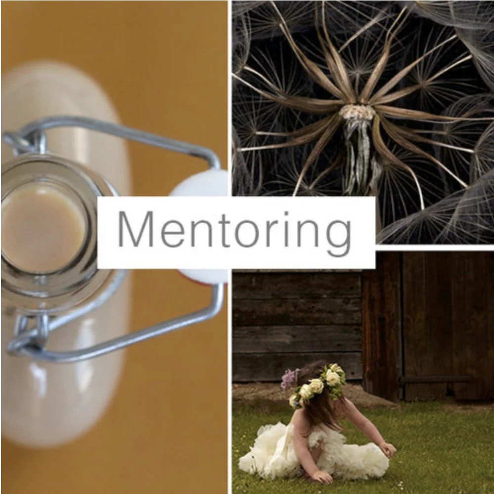 Mentoring.sq.jpg