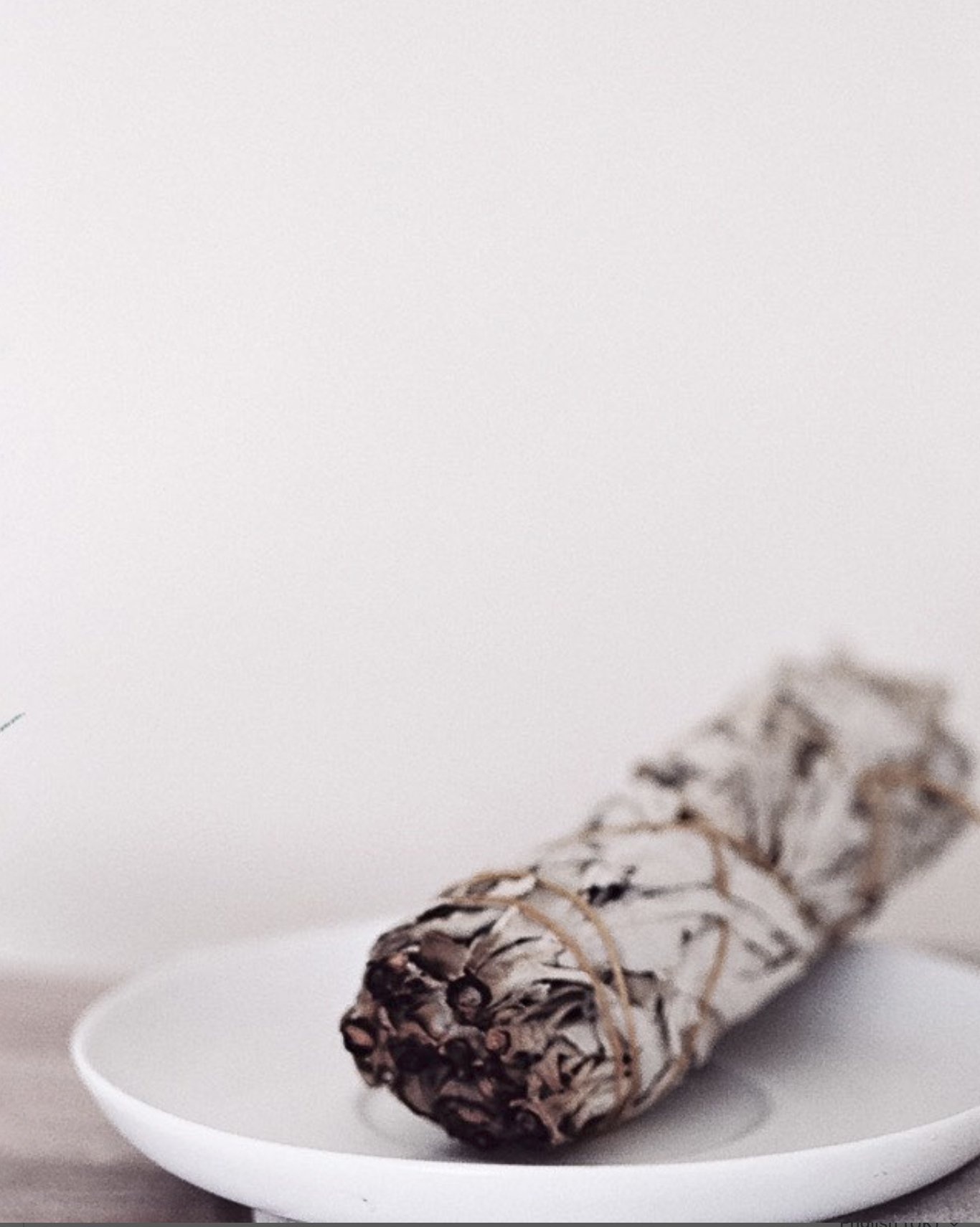 Sage.stick.jpg