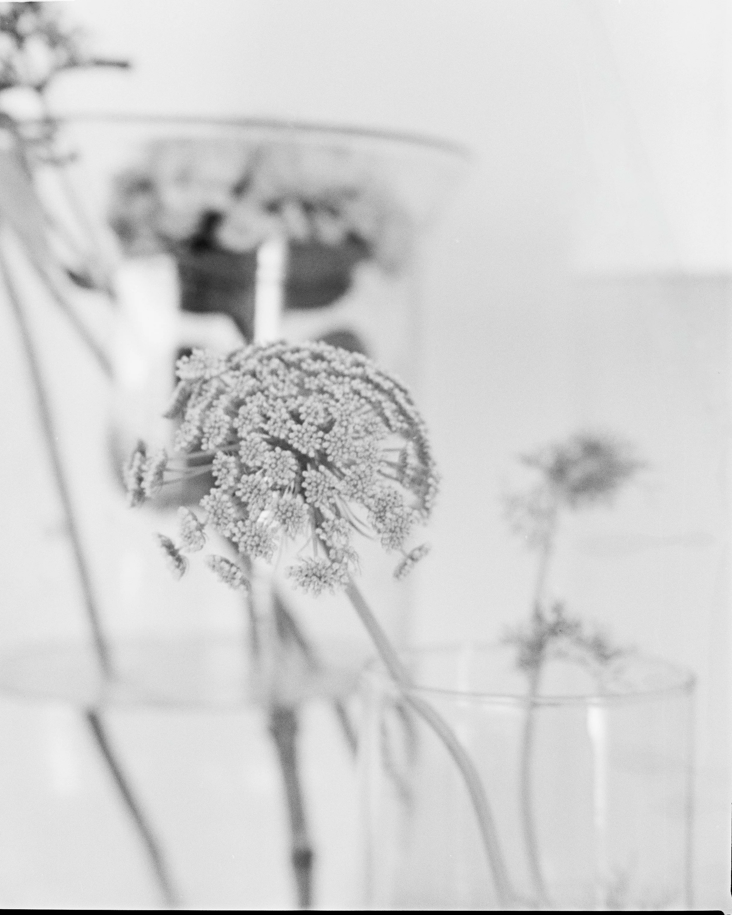 22.7713-Edit.jpg