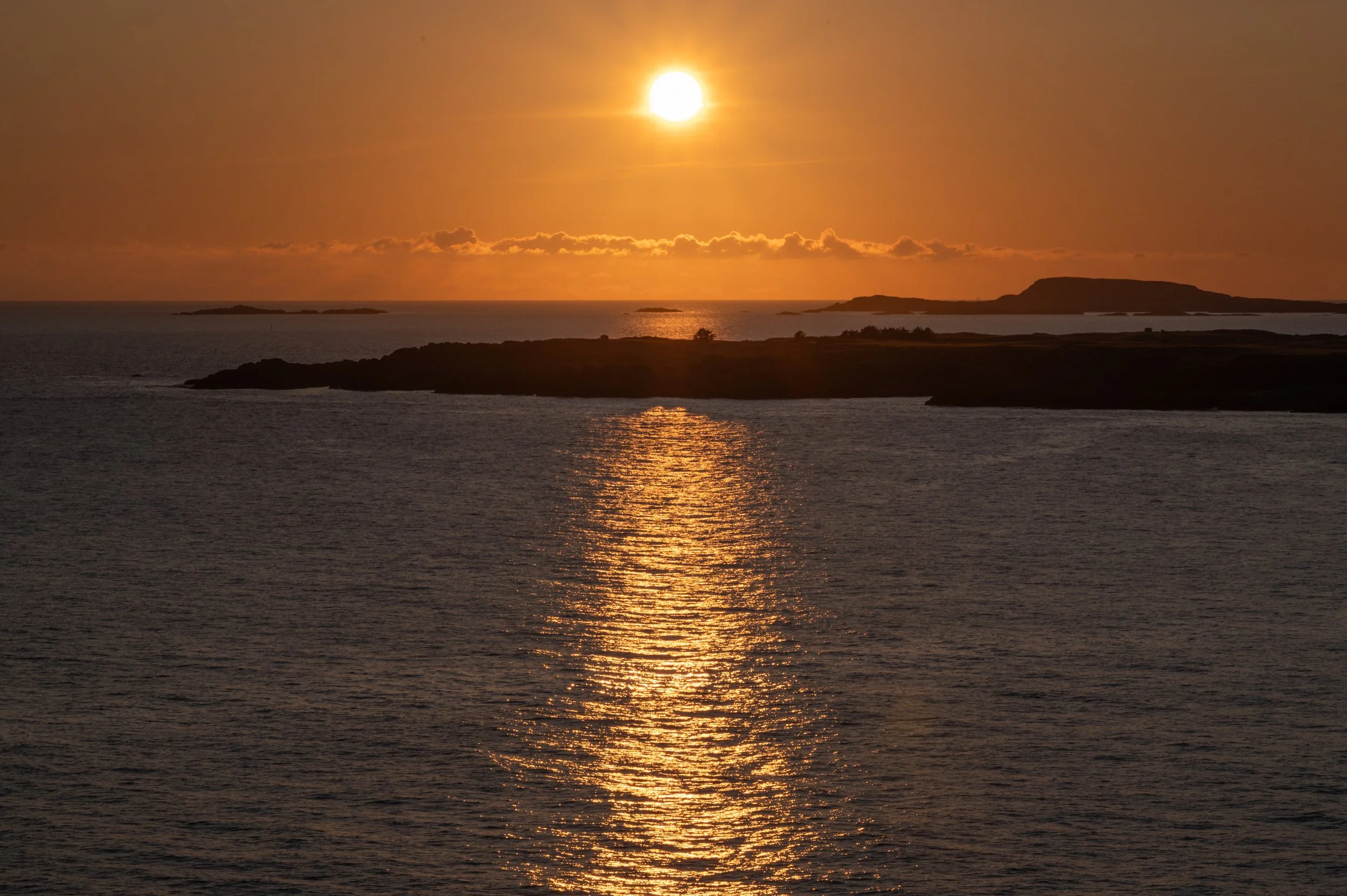 DSC_1501.jpg