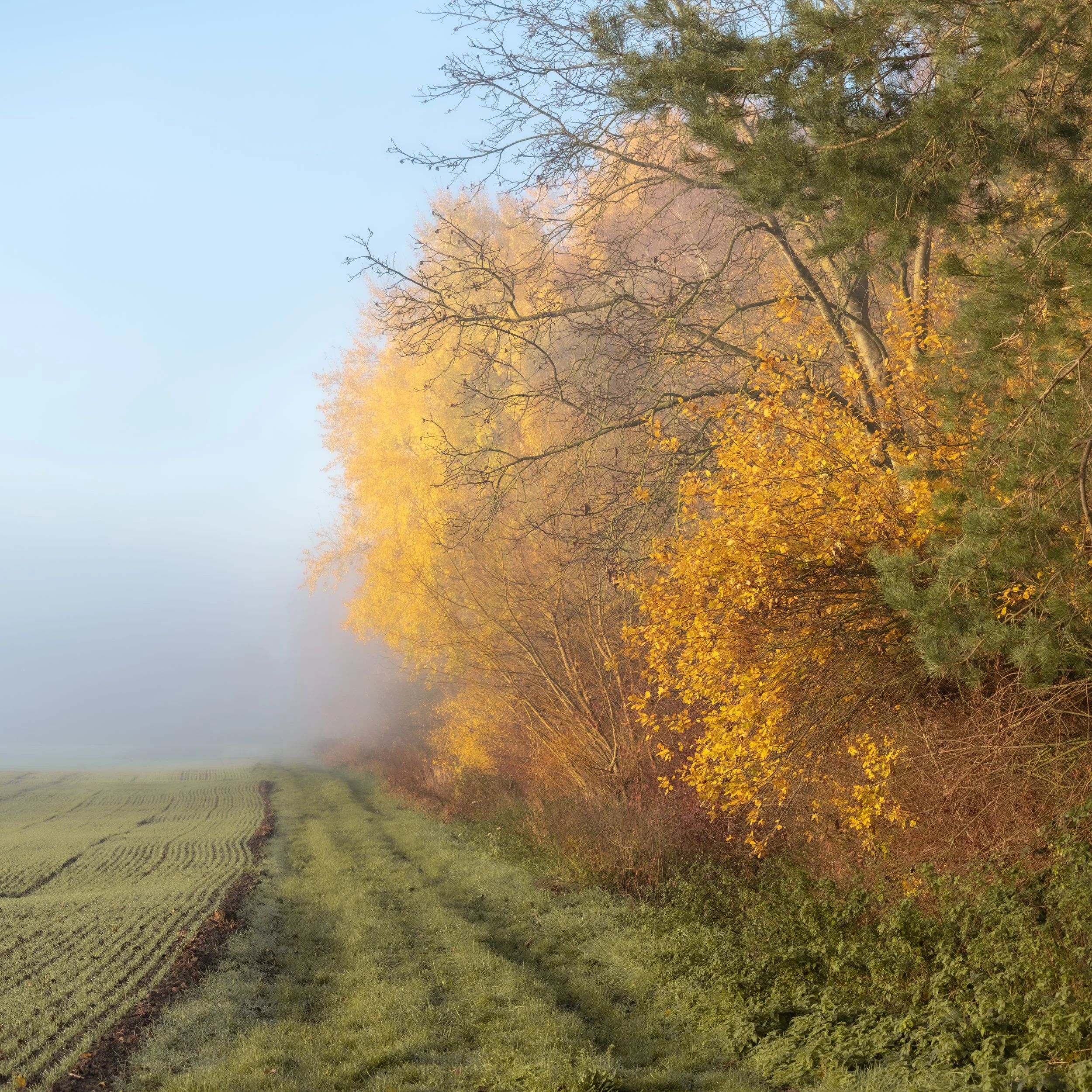 DSC_1131.jpg