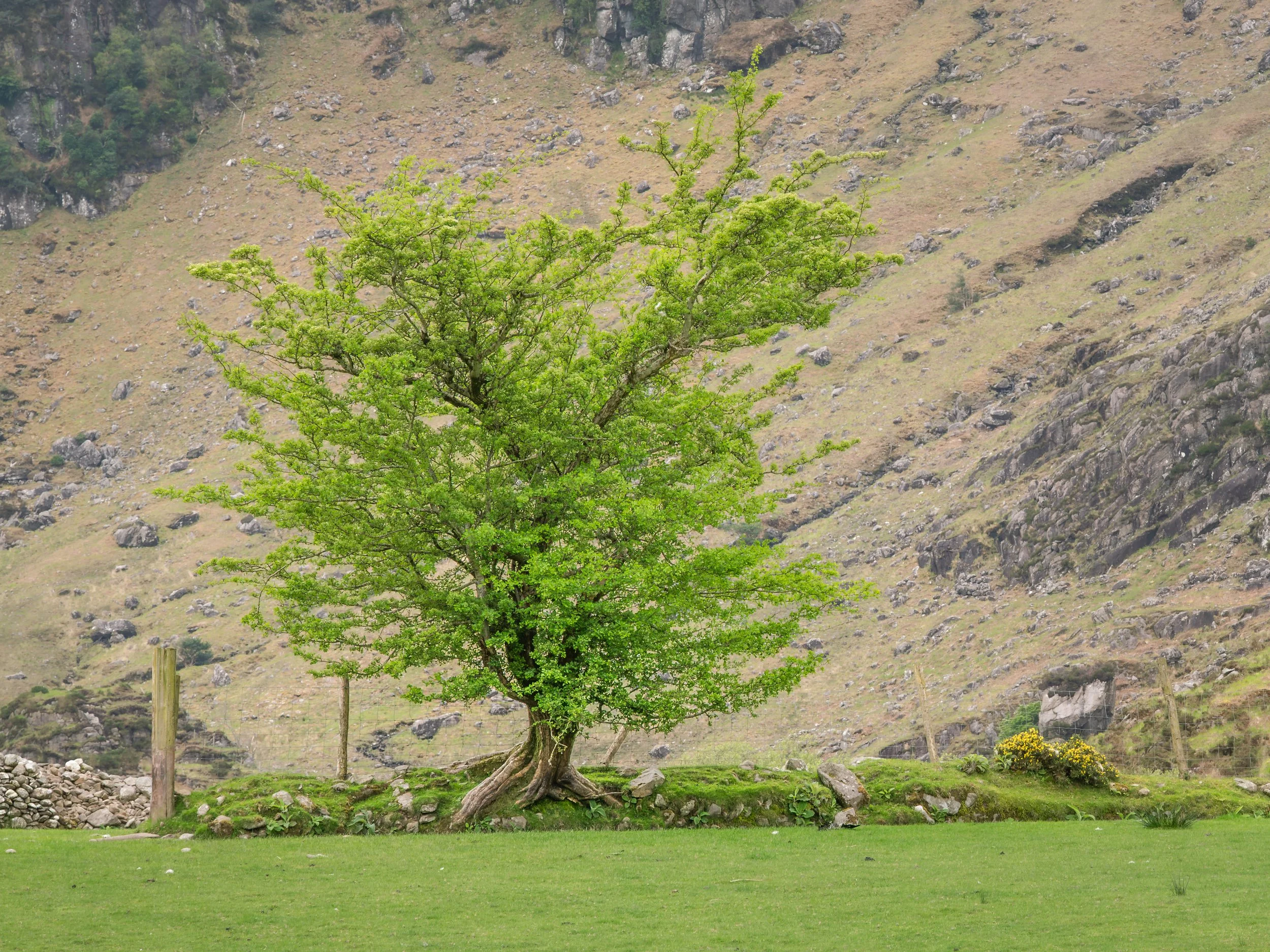 DSC_5677.jpg