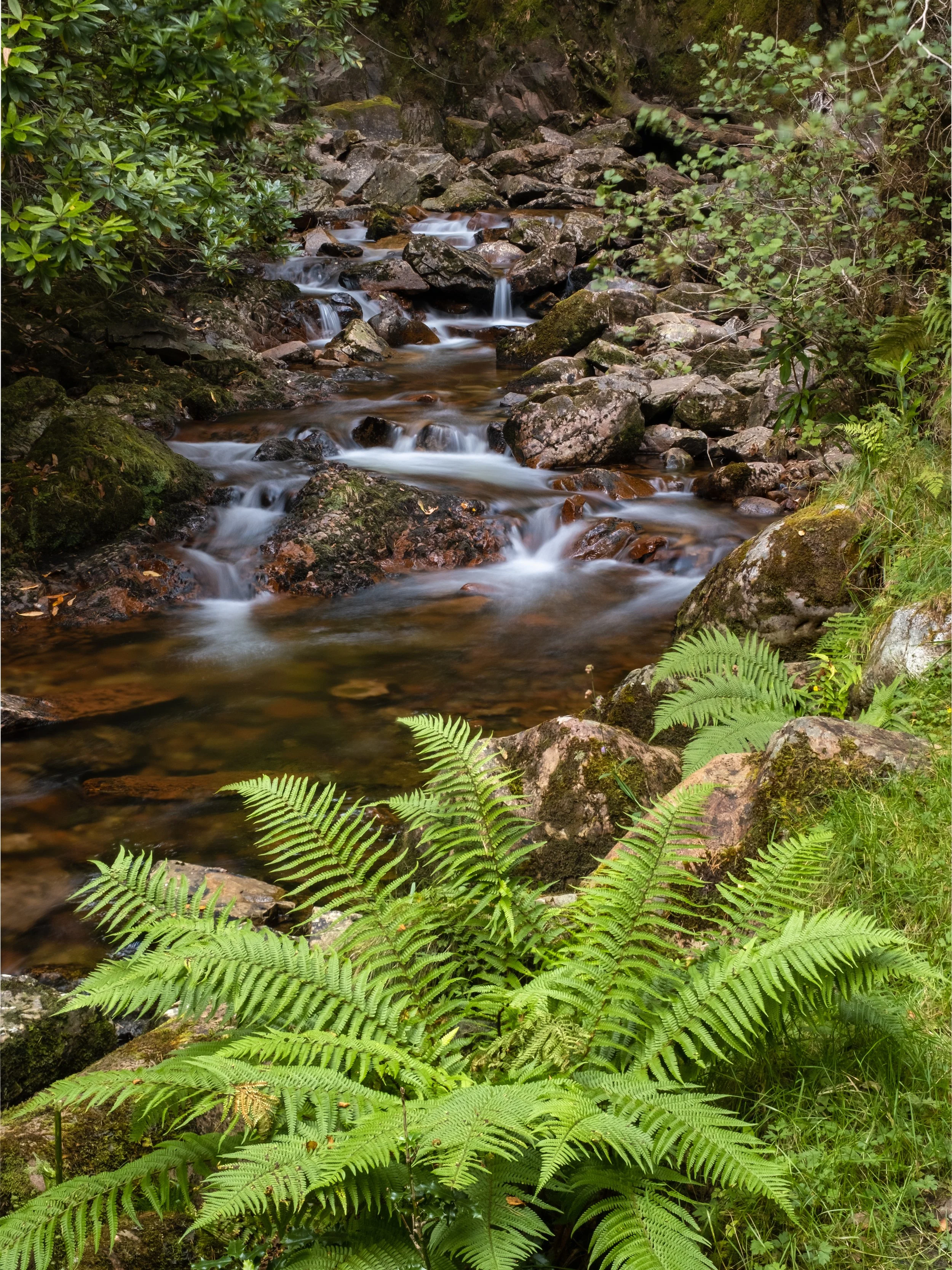 DSCF3263-Bearbeitet.jpg