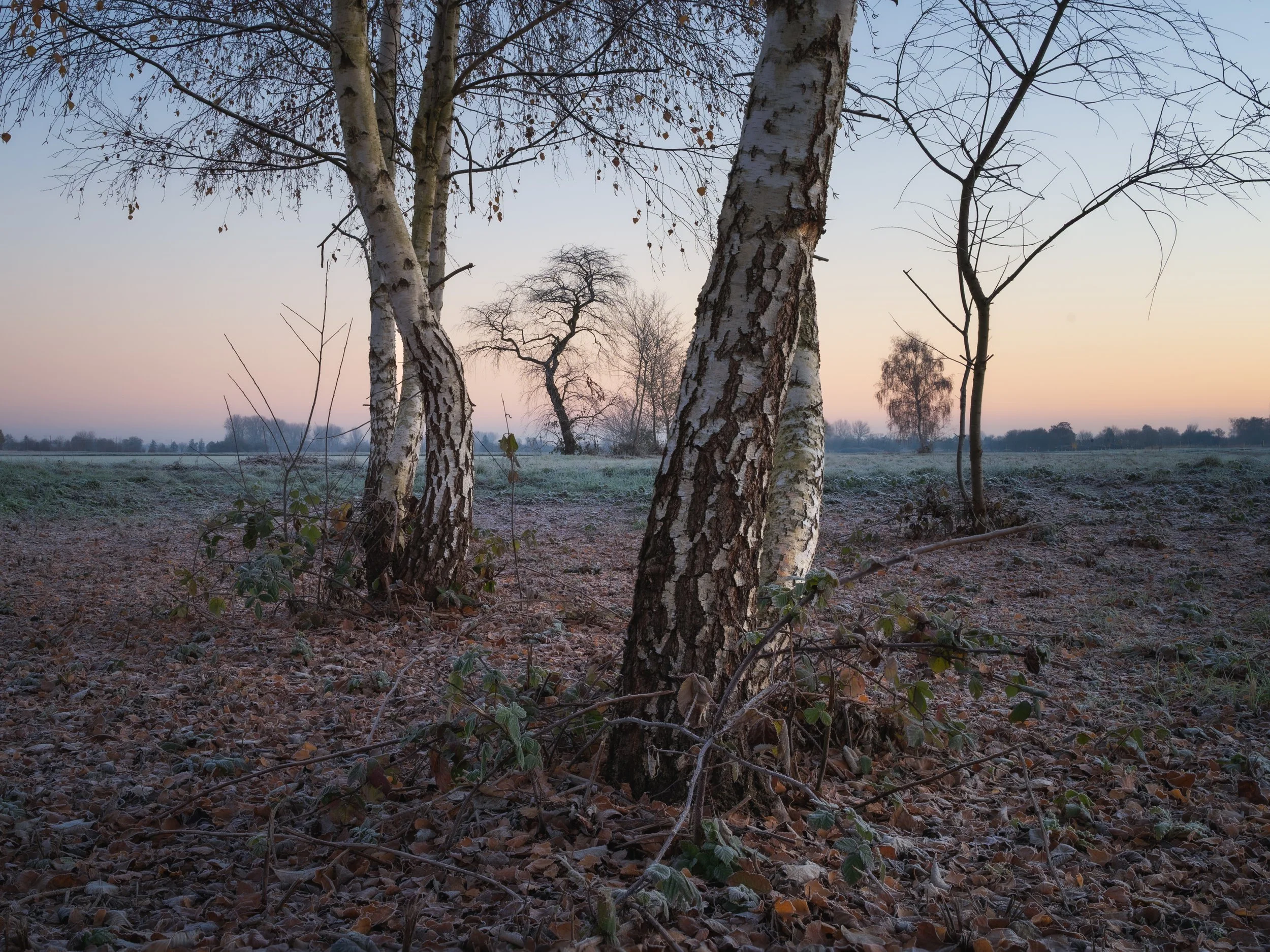 DSC_1175-Bearbeitet.jpg