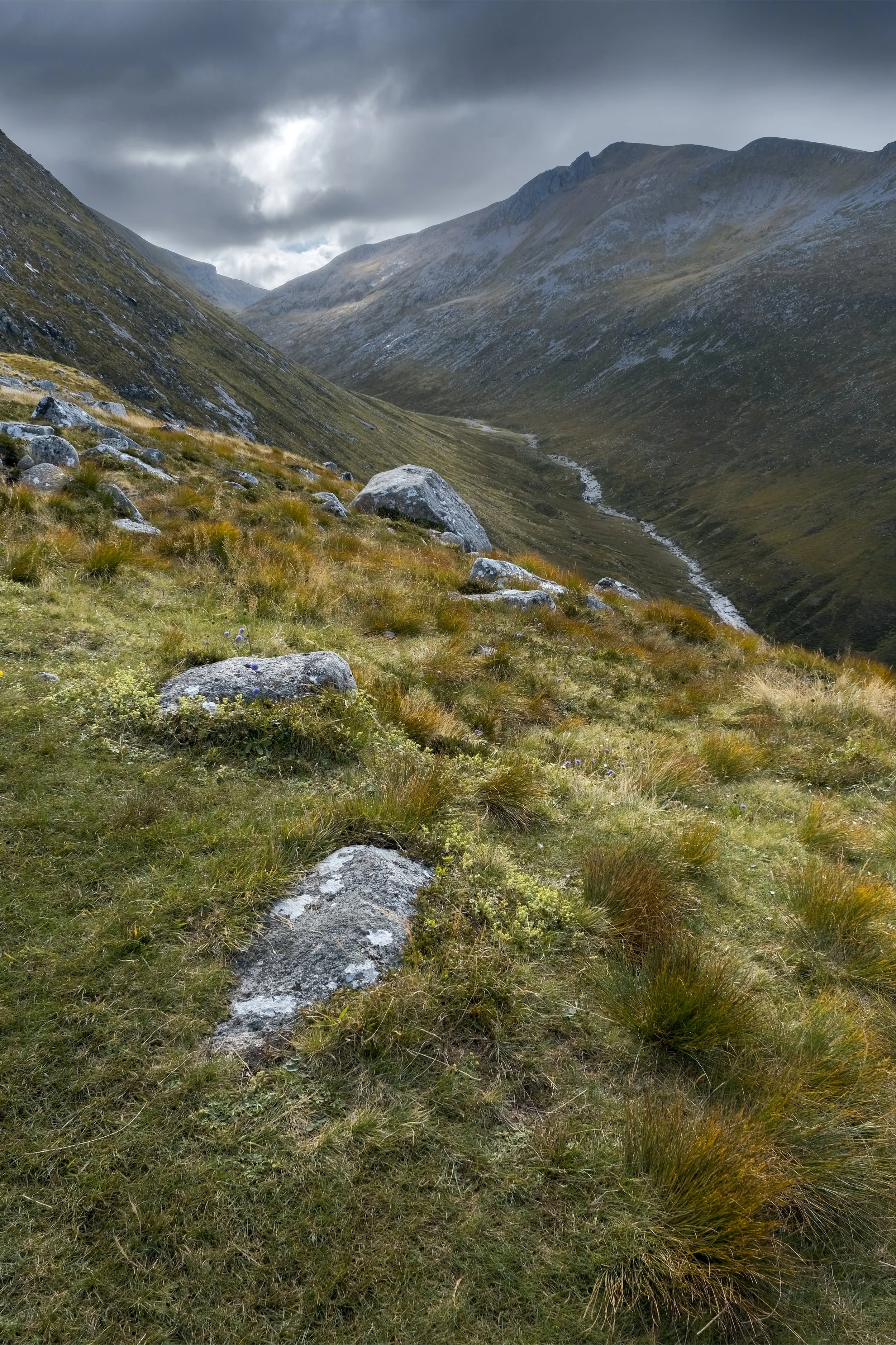 DSCF5730-Bearbeitet.jpg