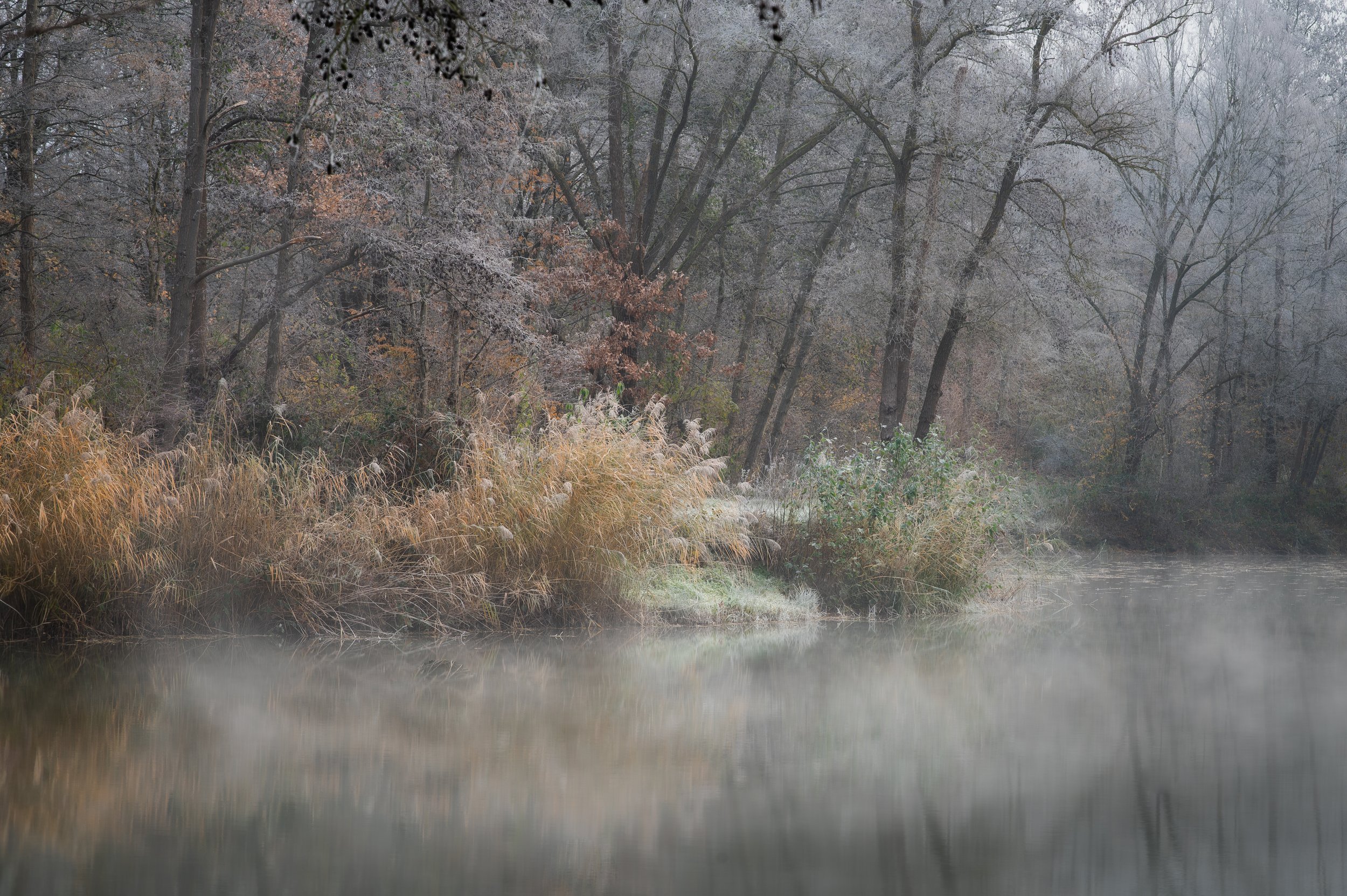 DSC_1293.jpg