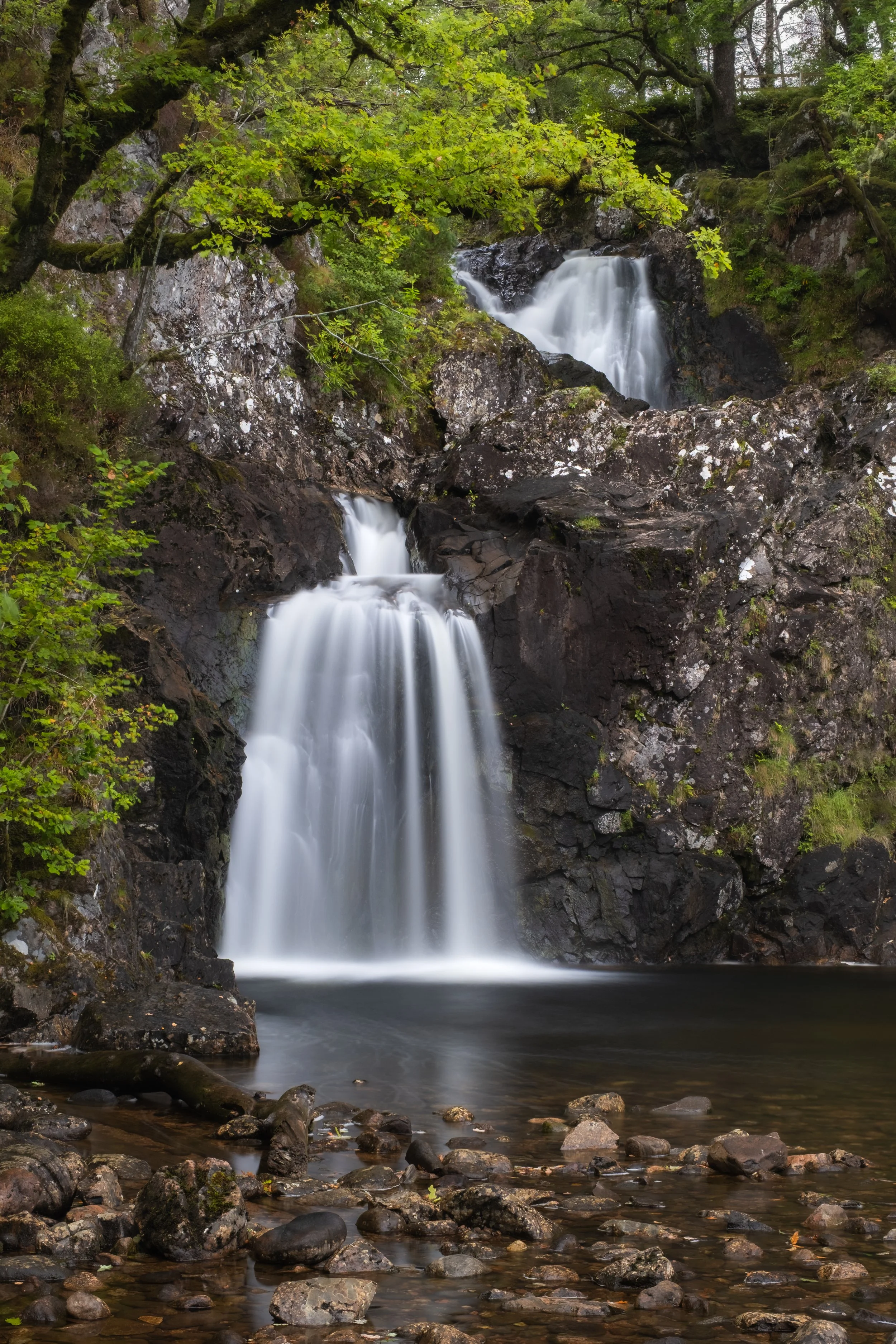 DSCF2957.jpg