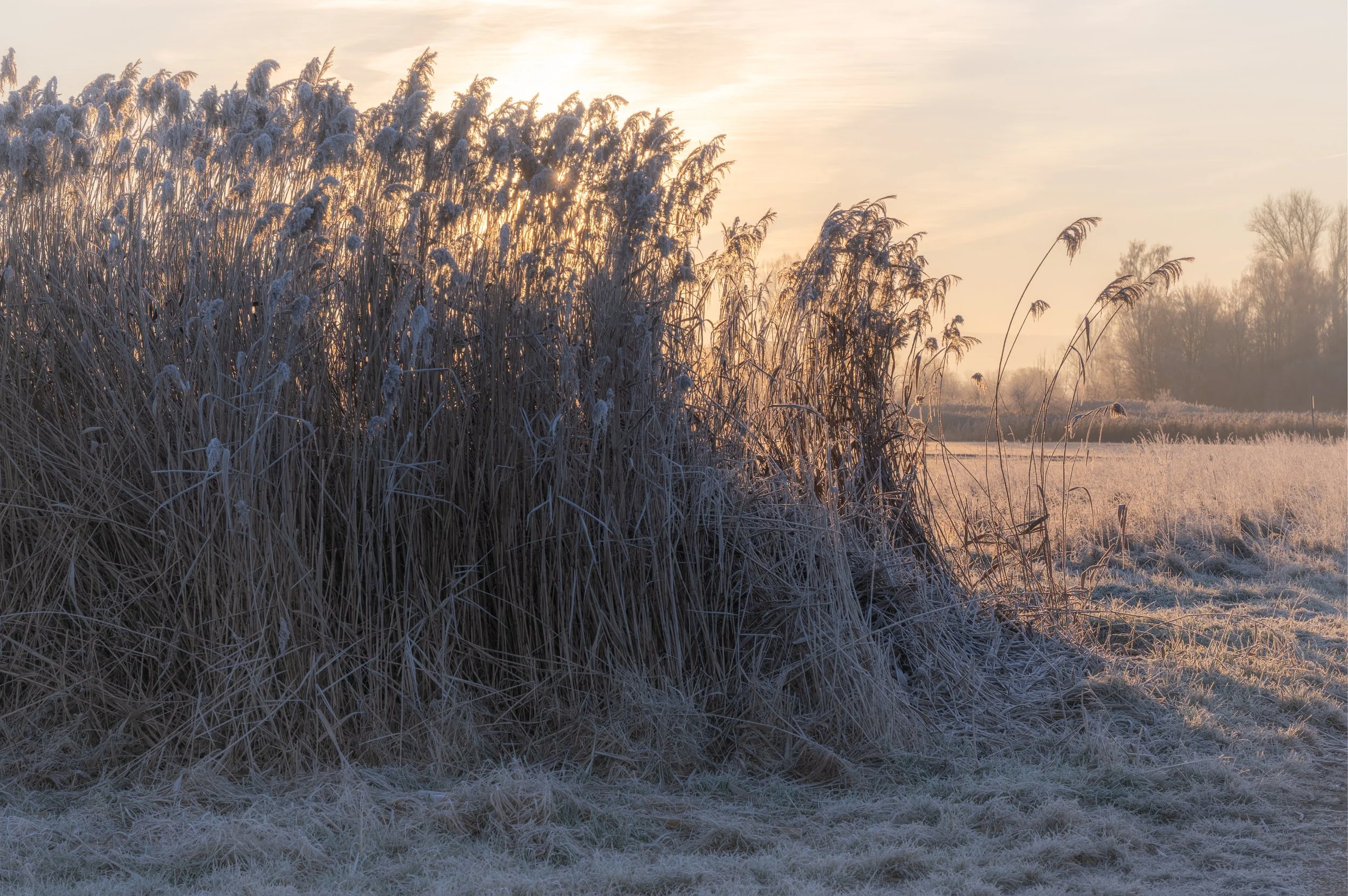 DSC_1493-HDR.jpg
