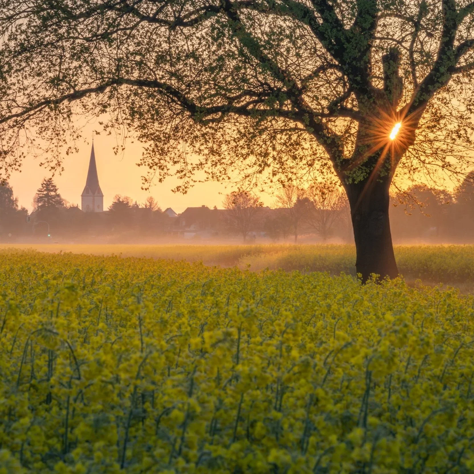 Frühling