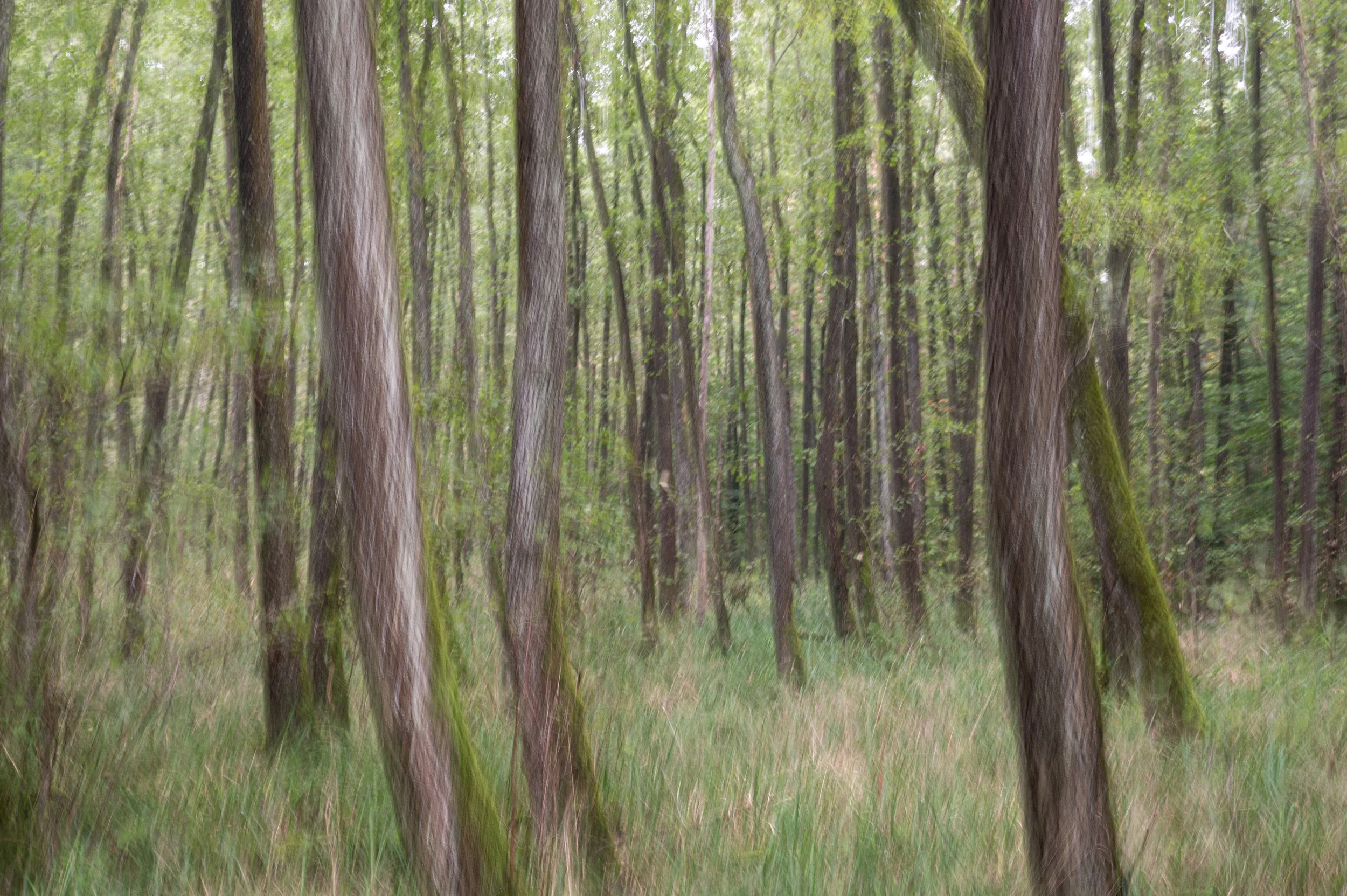 DSC_0568.jpg