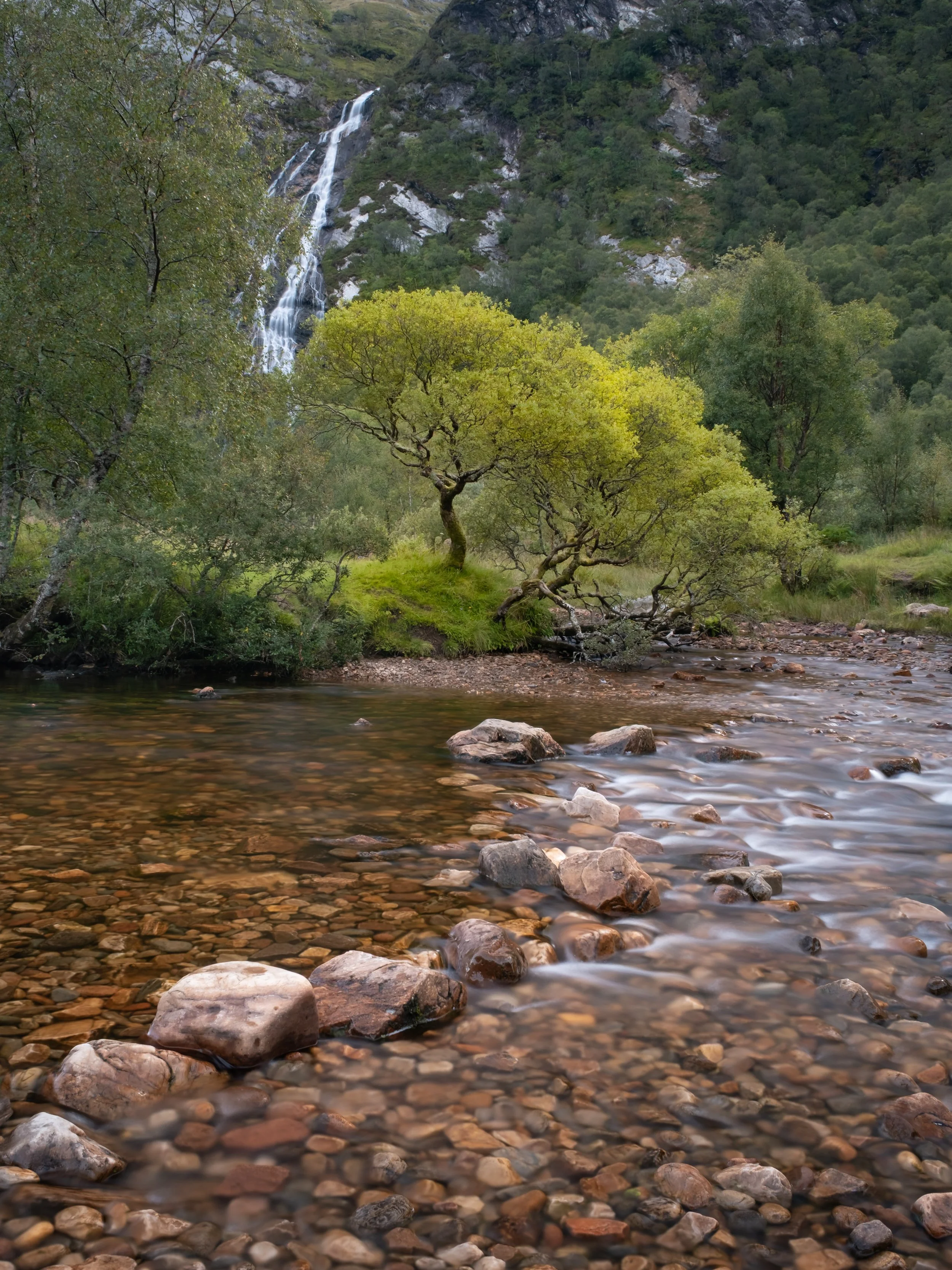 DSCF2528.jpg
