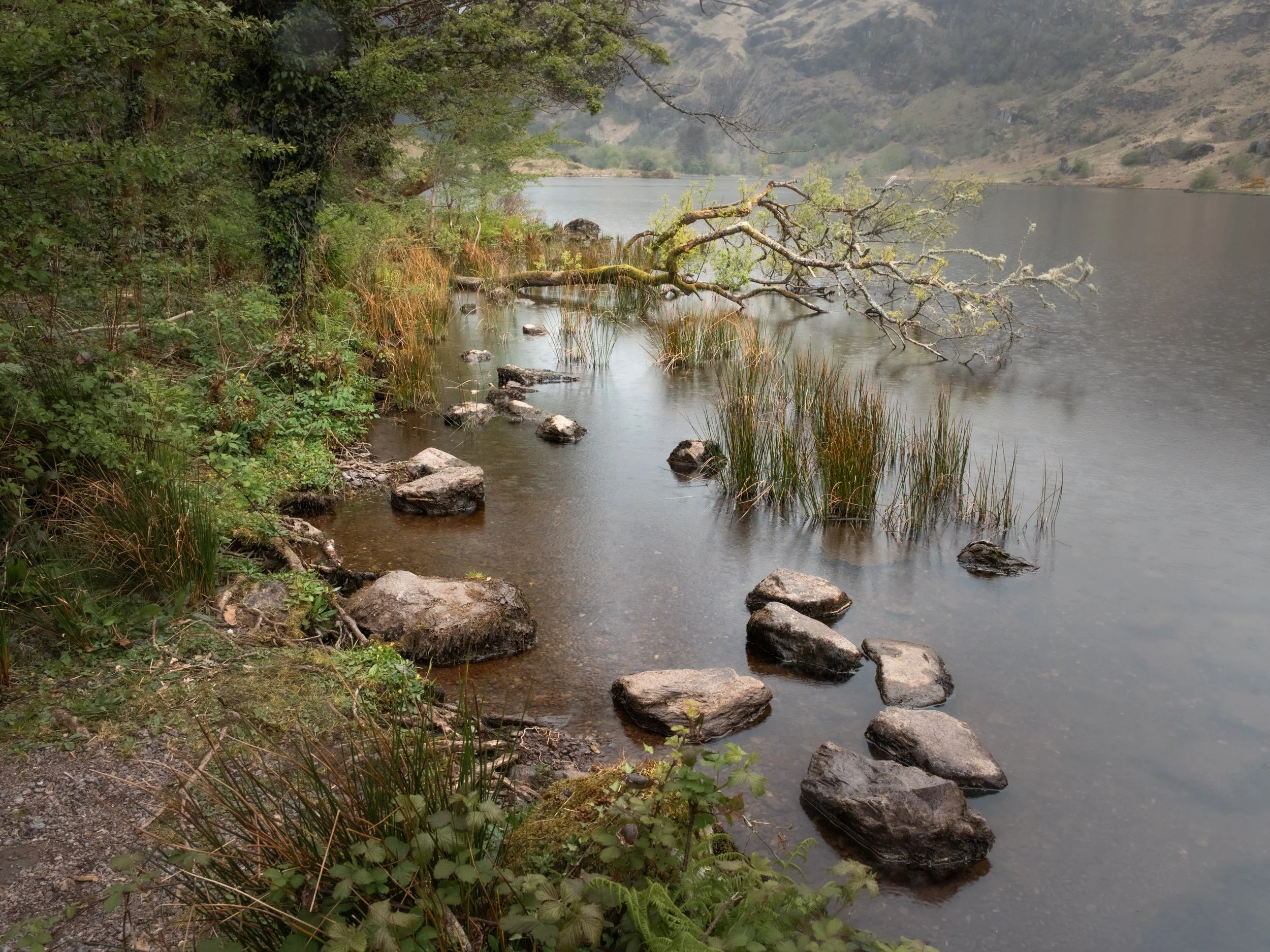 DSC_5433.jpg