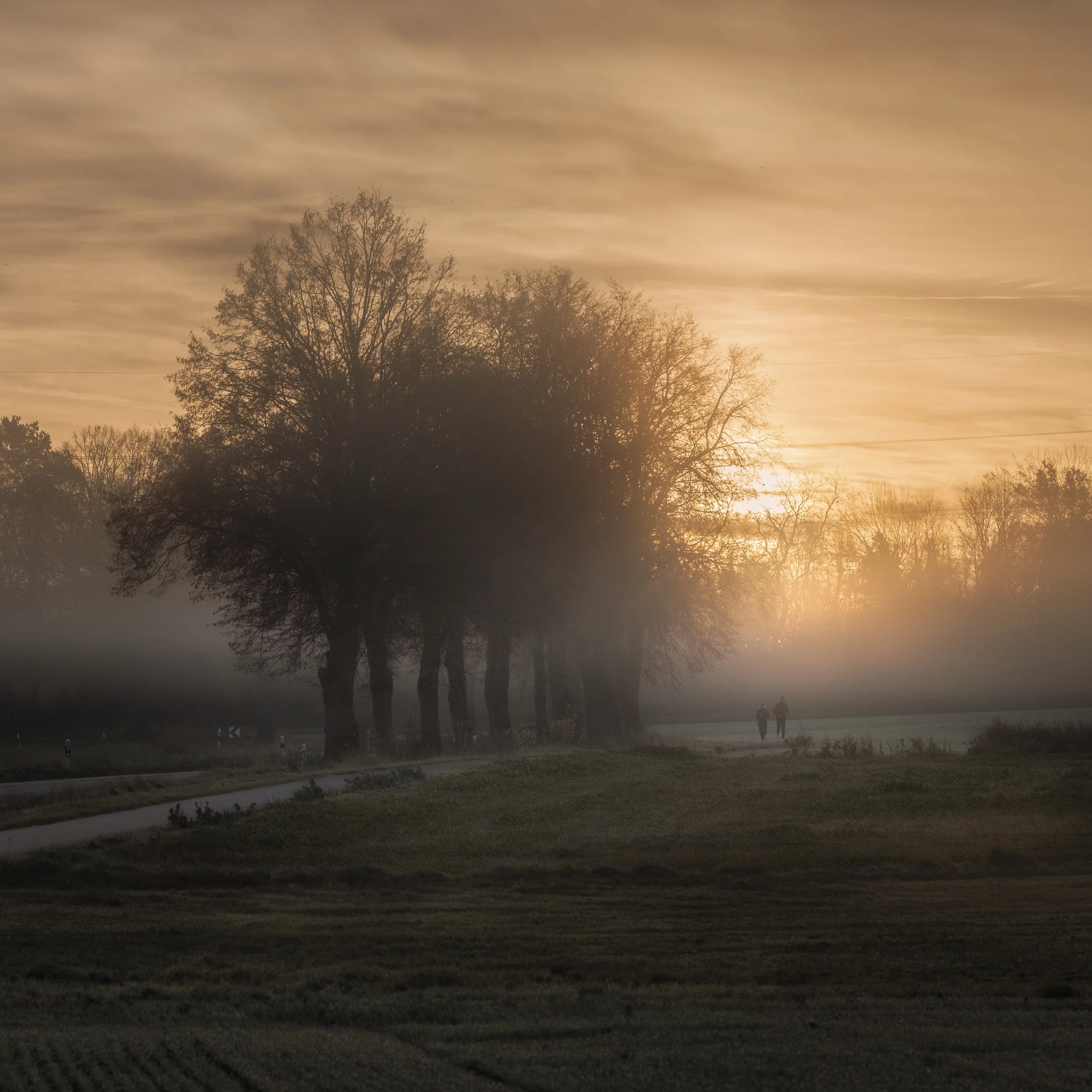 DSC_1122-HDR.jpg