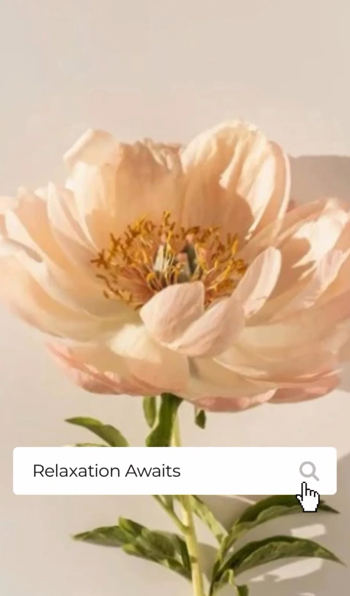 A close-up of a pale pink peony flower with layered petals and yellow stamens, against a neutral background.