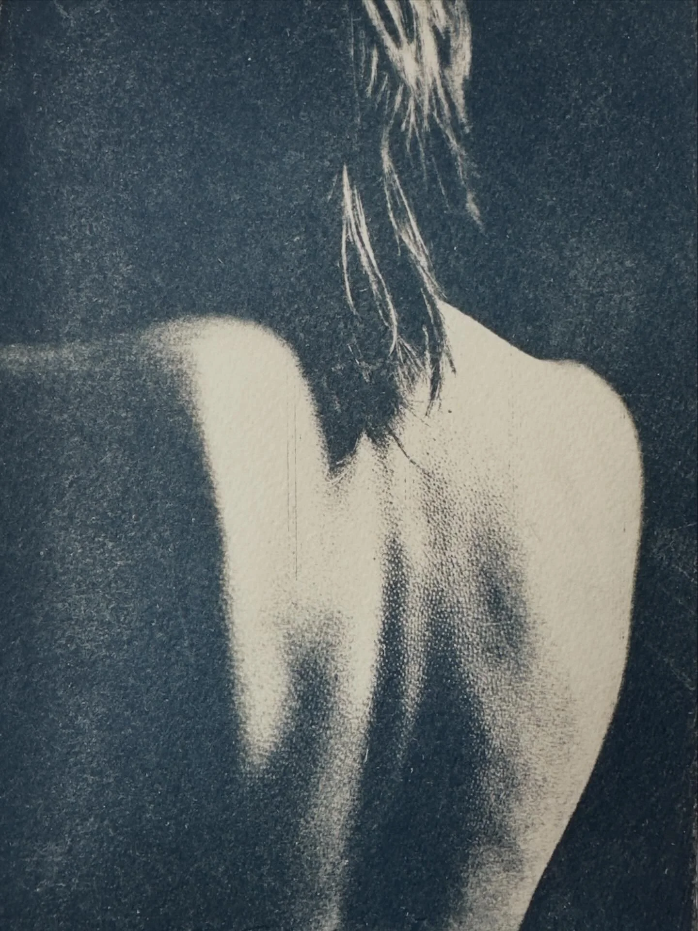 Flügel wachsen auch im Dunkeln