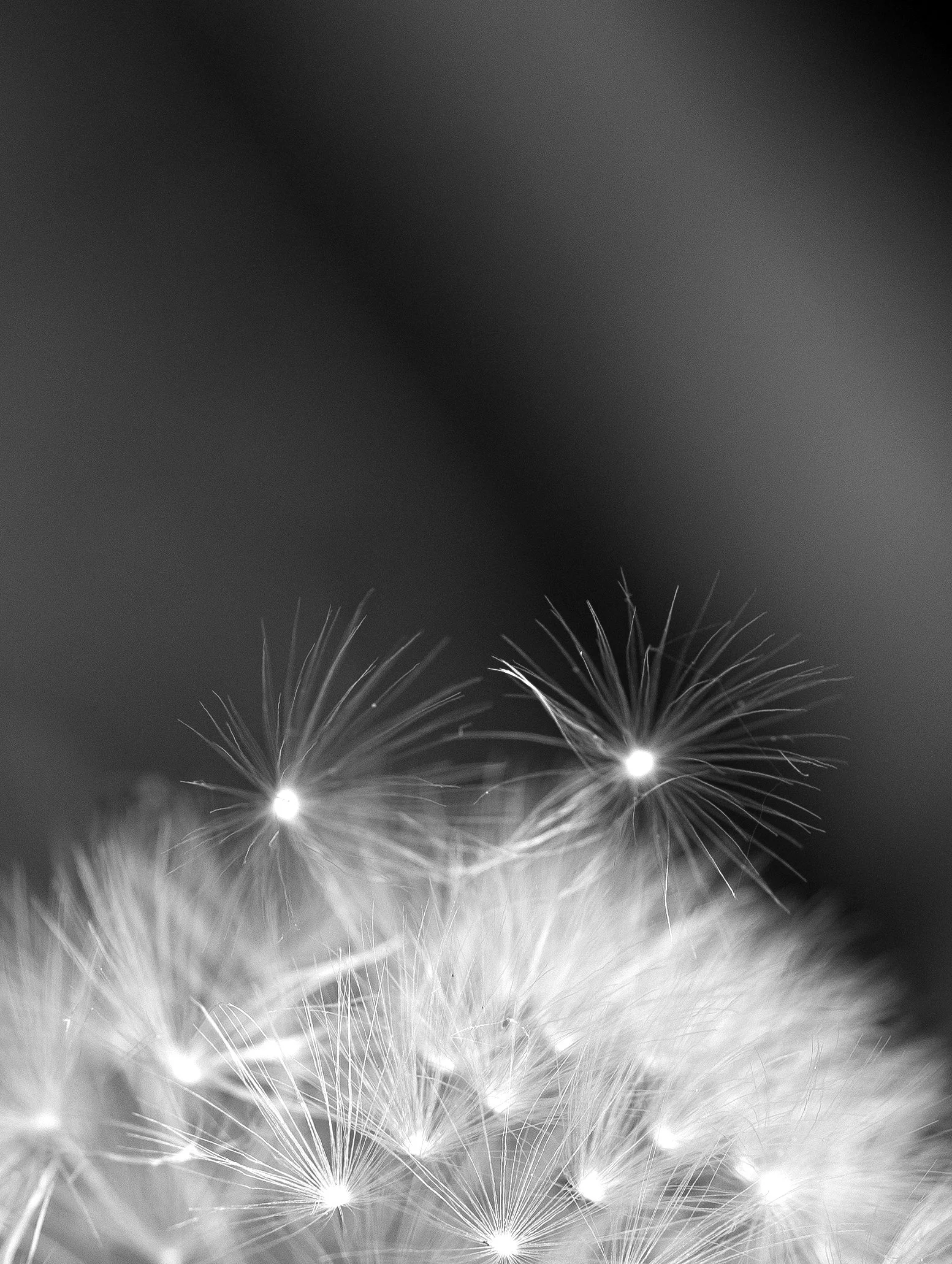 Ruimte 0006 260523 copy crop copy.jpg