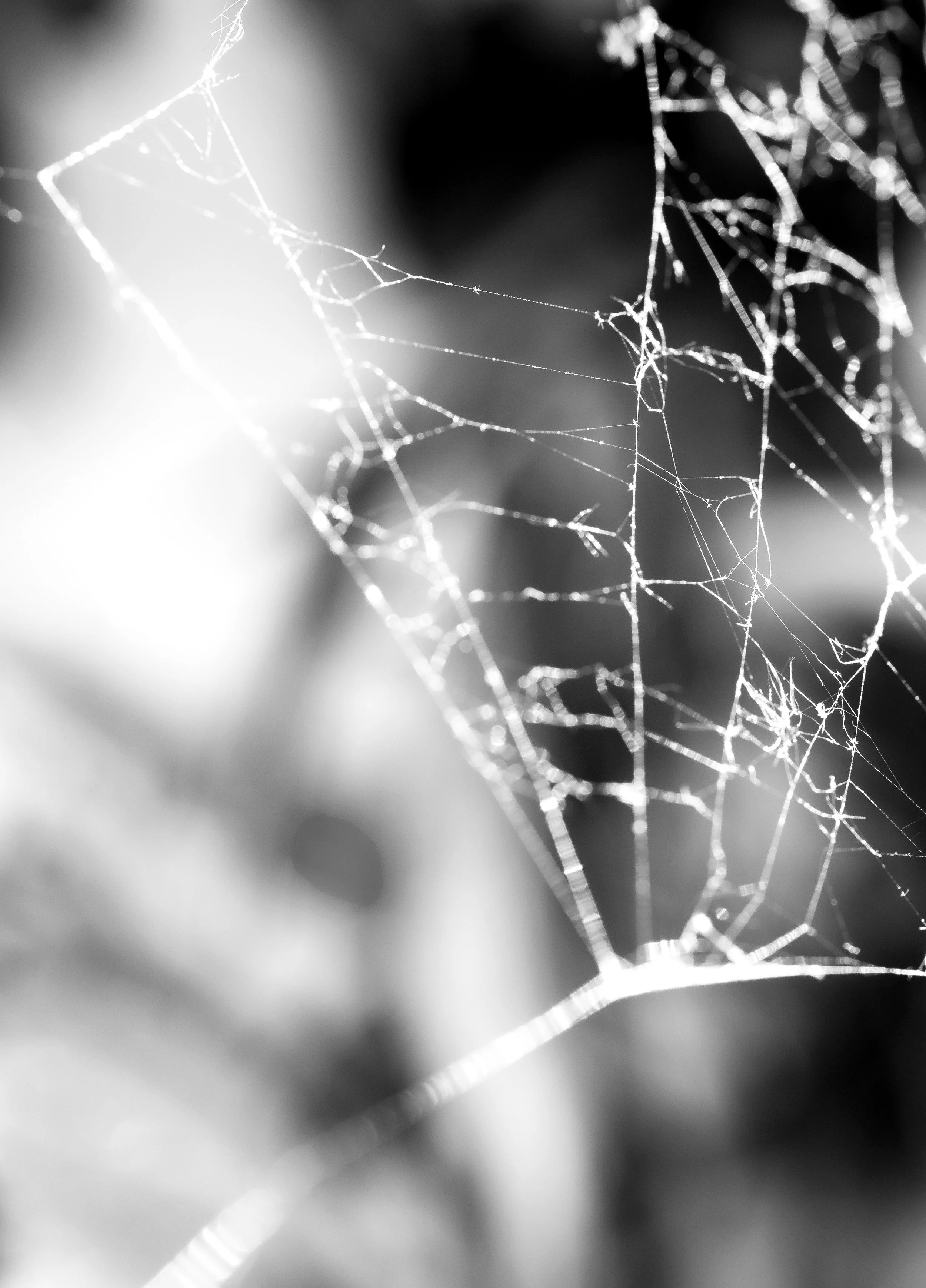 Ruimte_89A9036 crop.jpg