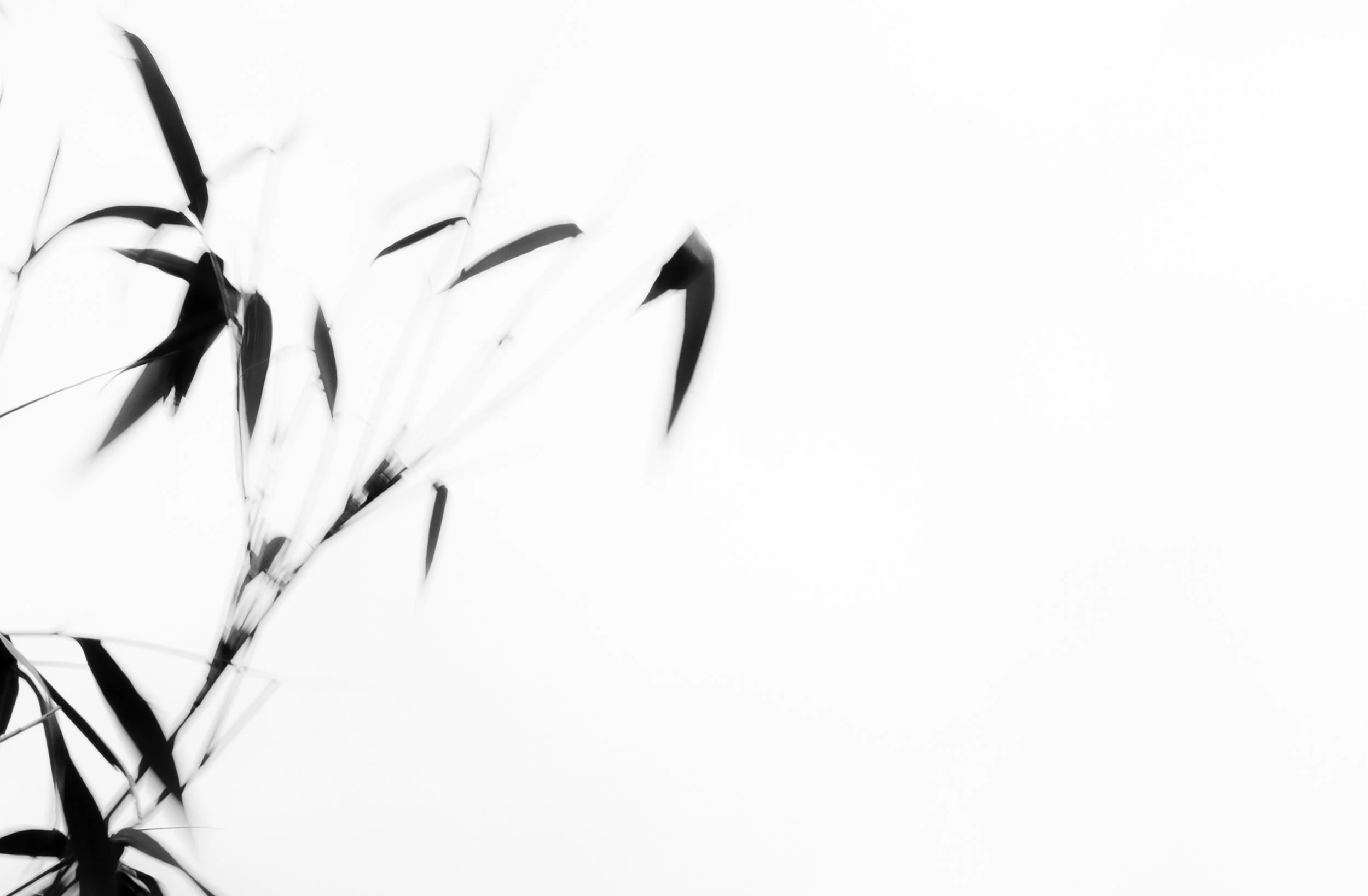 Ruimte 0147 260523 crop copy.jpg