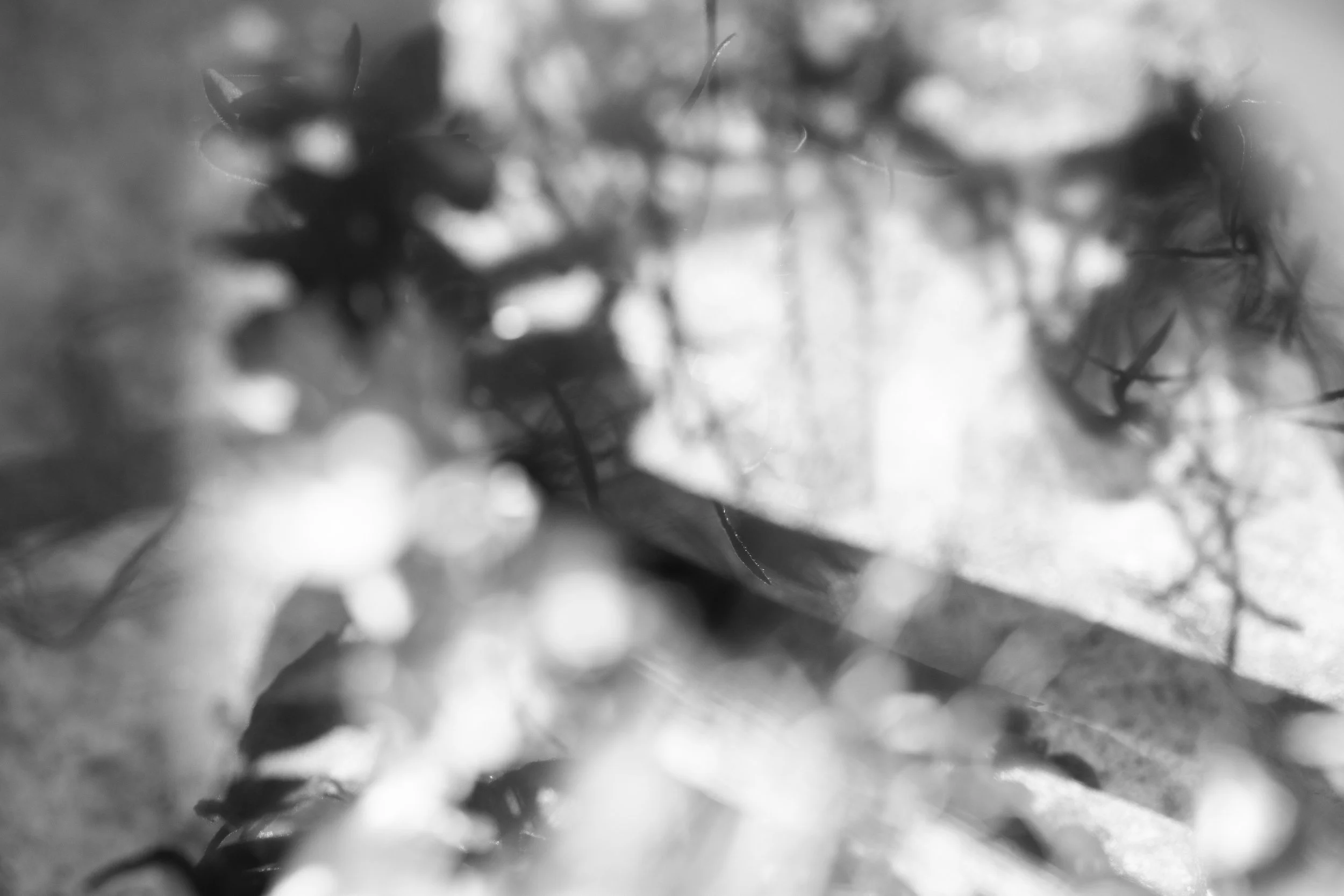 Ruimte 1491 060623 copy.jpg