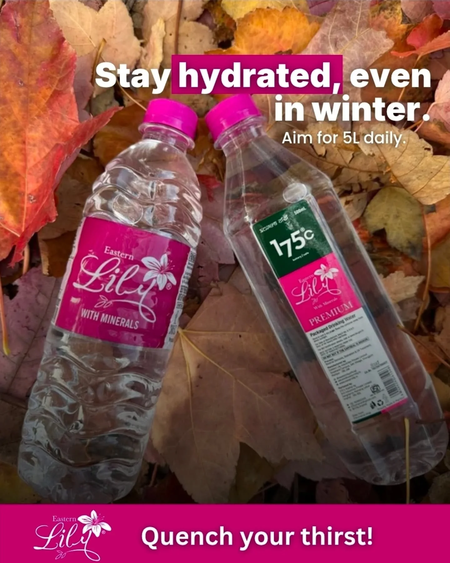 Stay hydrated 😊
 Mannage by : @tycoon_b2b 

#EasternLily #quenchvourthirst #manipur #waterbottle